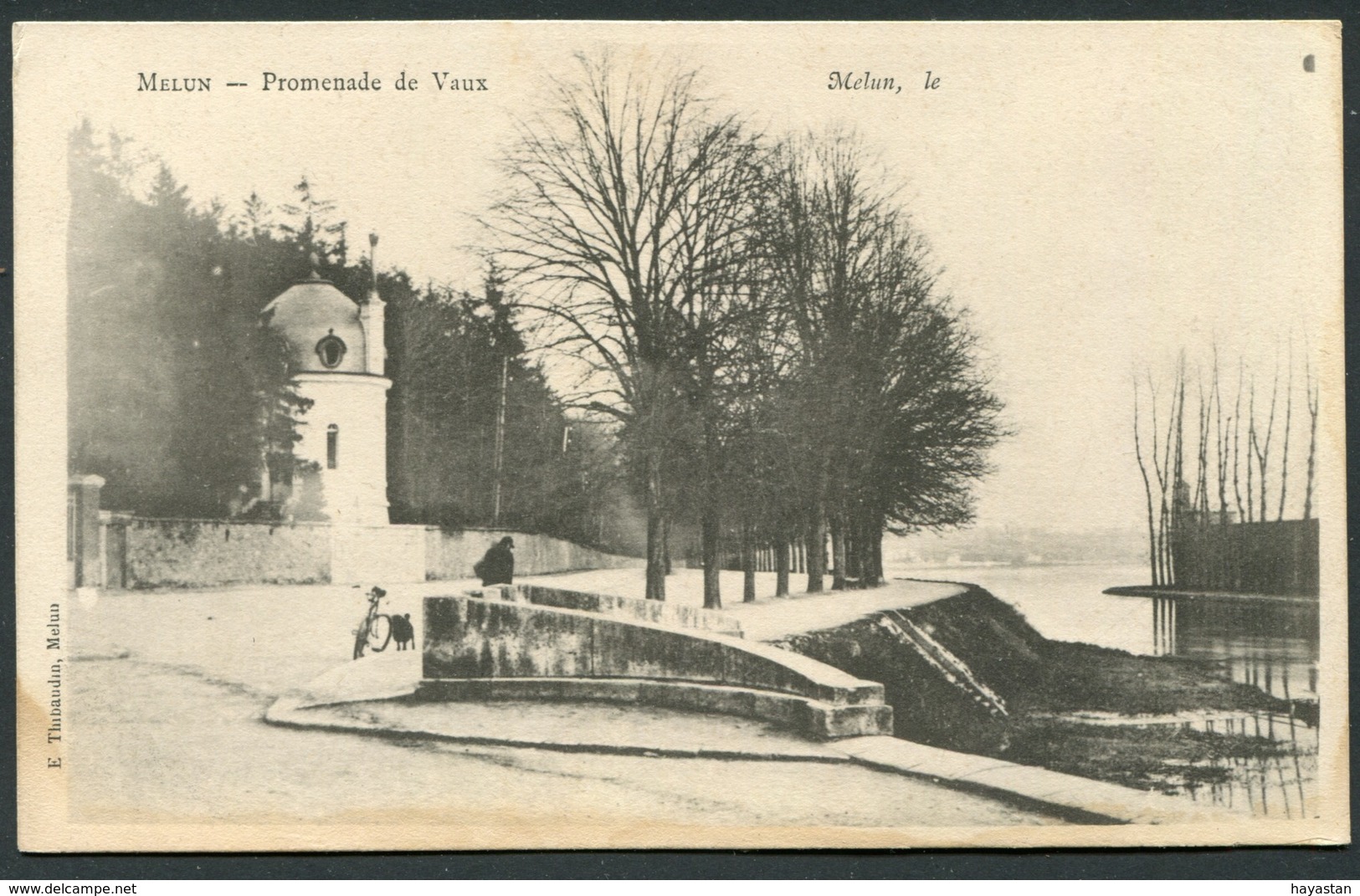 LOT DE 50 CARTES POSTALES DE SEINE ET MARNE 77