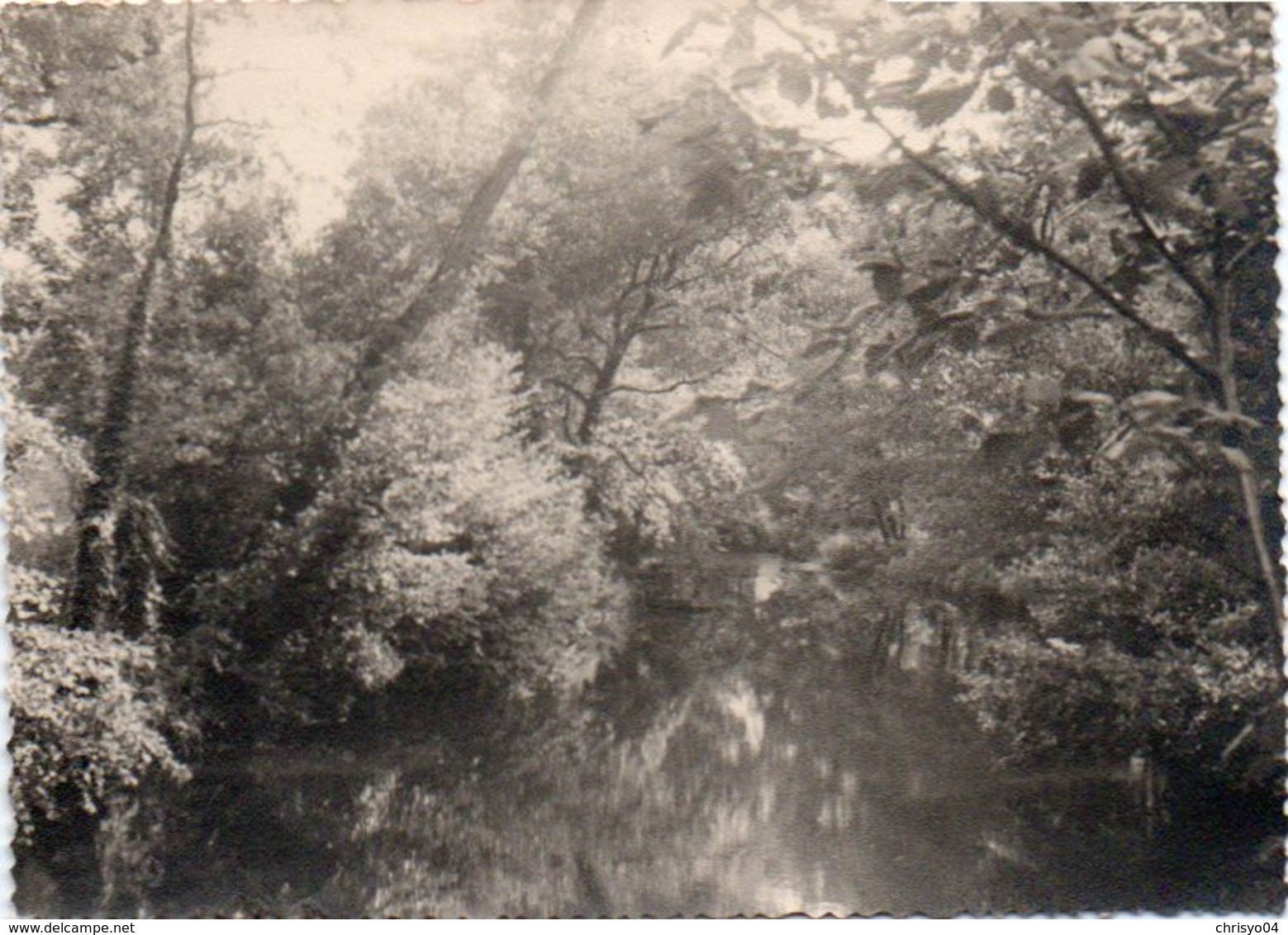 95Eb  Carte Photo Prés Perigueux Chateau St Jean De Côle La Riviére - Périgueux