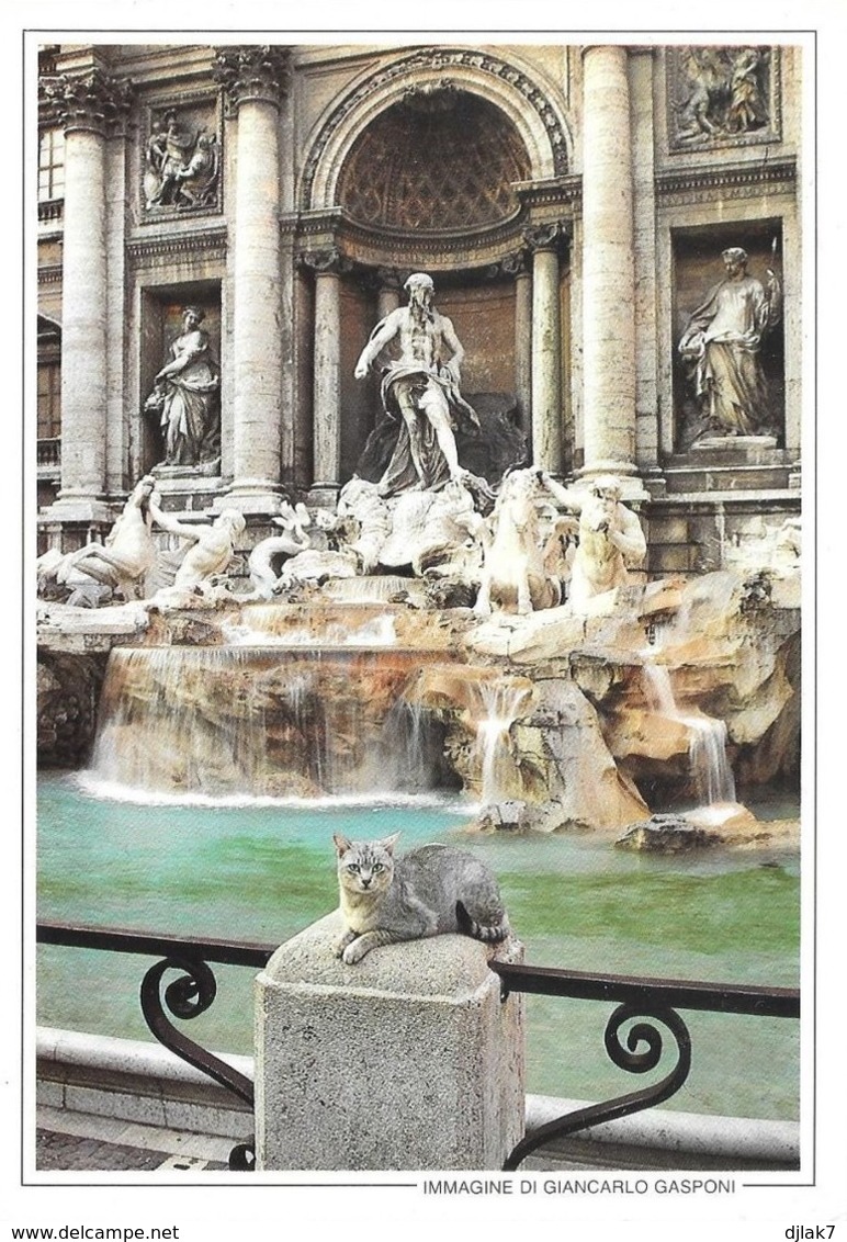 Italie Rome Fontaine De Trevi (2 Scans) - Fontana Di Trevi