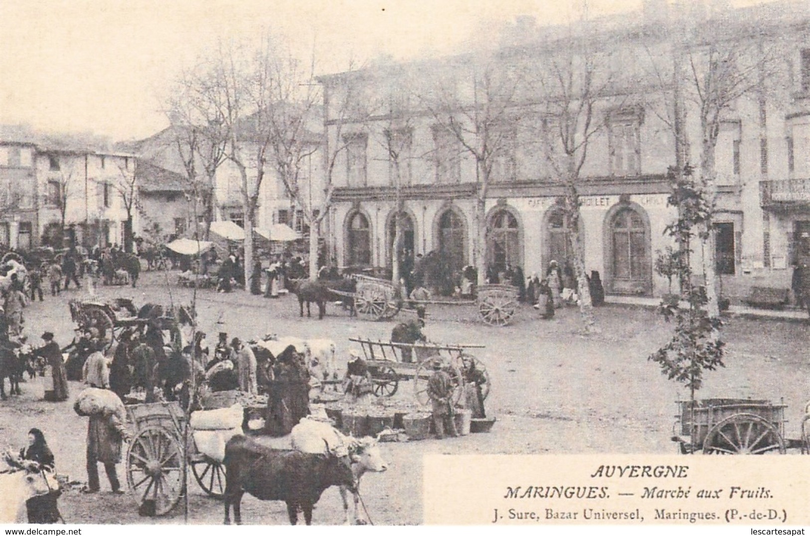 Auvergne - MARINGUES - Marché Aux Fruits  - (lot Pat72) - Sonstige & Ohne Zuordnung