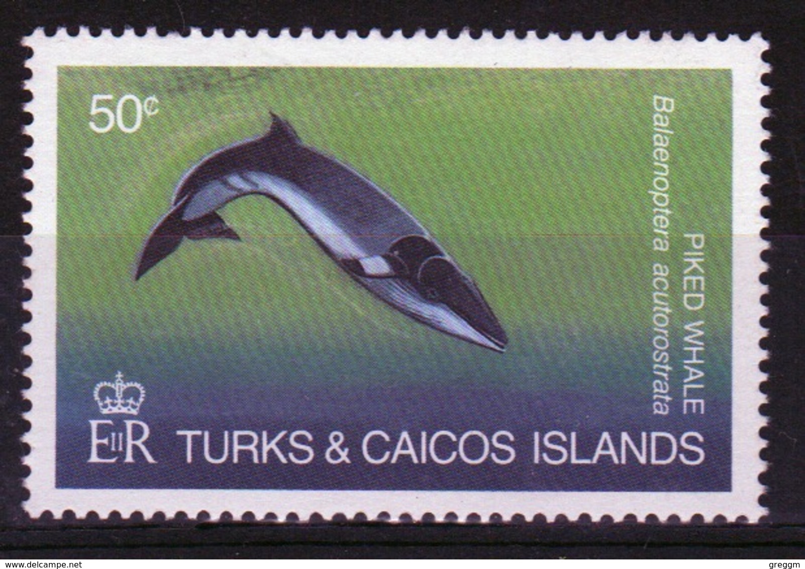 Turks And Caicos 50c Single Stamp From The 1983 Whales Set. - Turks And Caicos