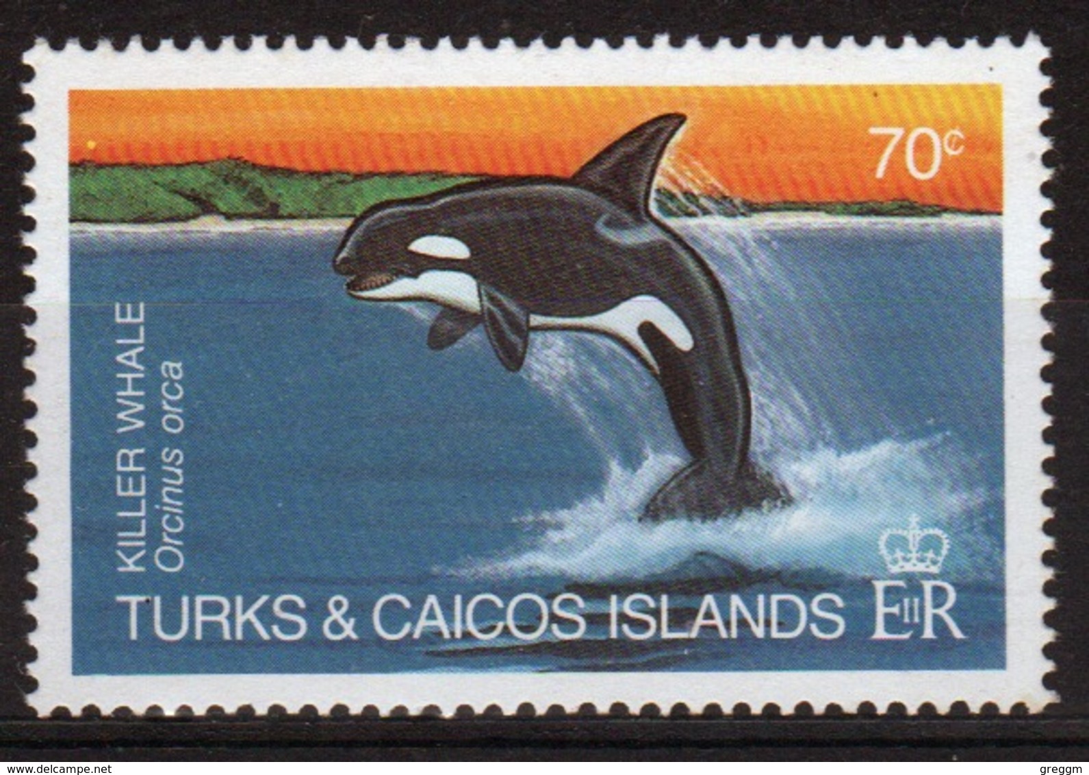 Turks And Caicos 70c Single Stamp From The 1983 Whales Set. - Turcas Y Caicos