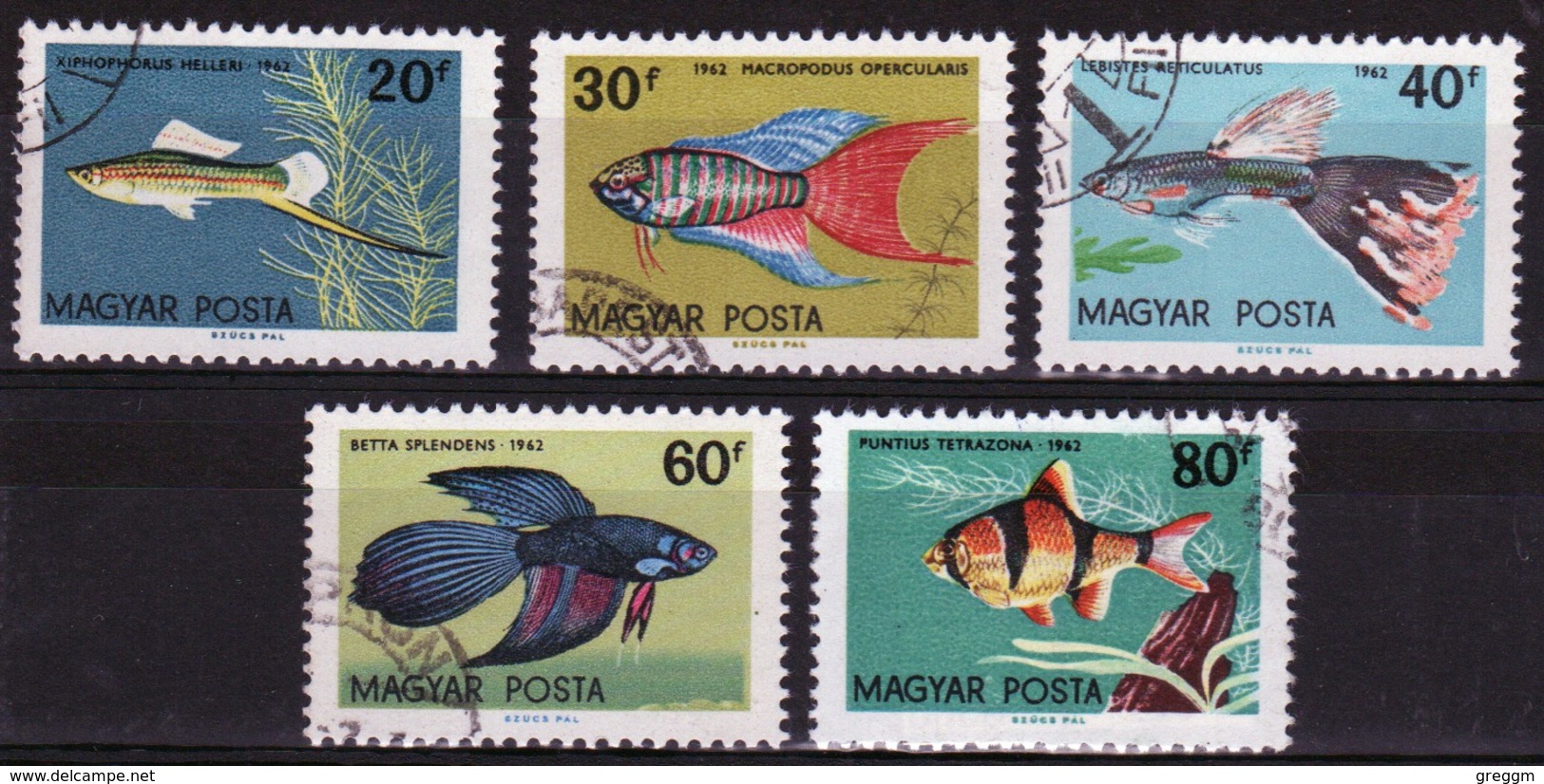 Hungary 1962 Short Set Of Stamps Celebrating Ornamental Fish. - Used Stamps