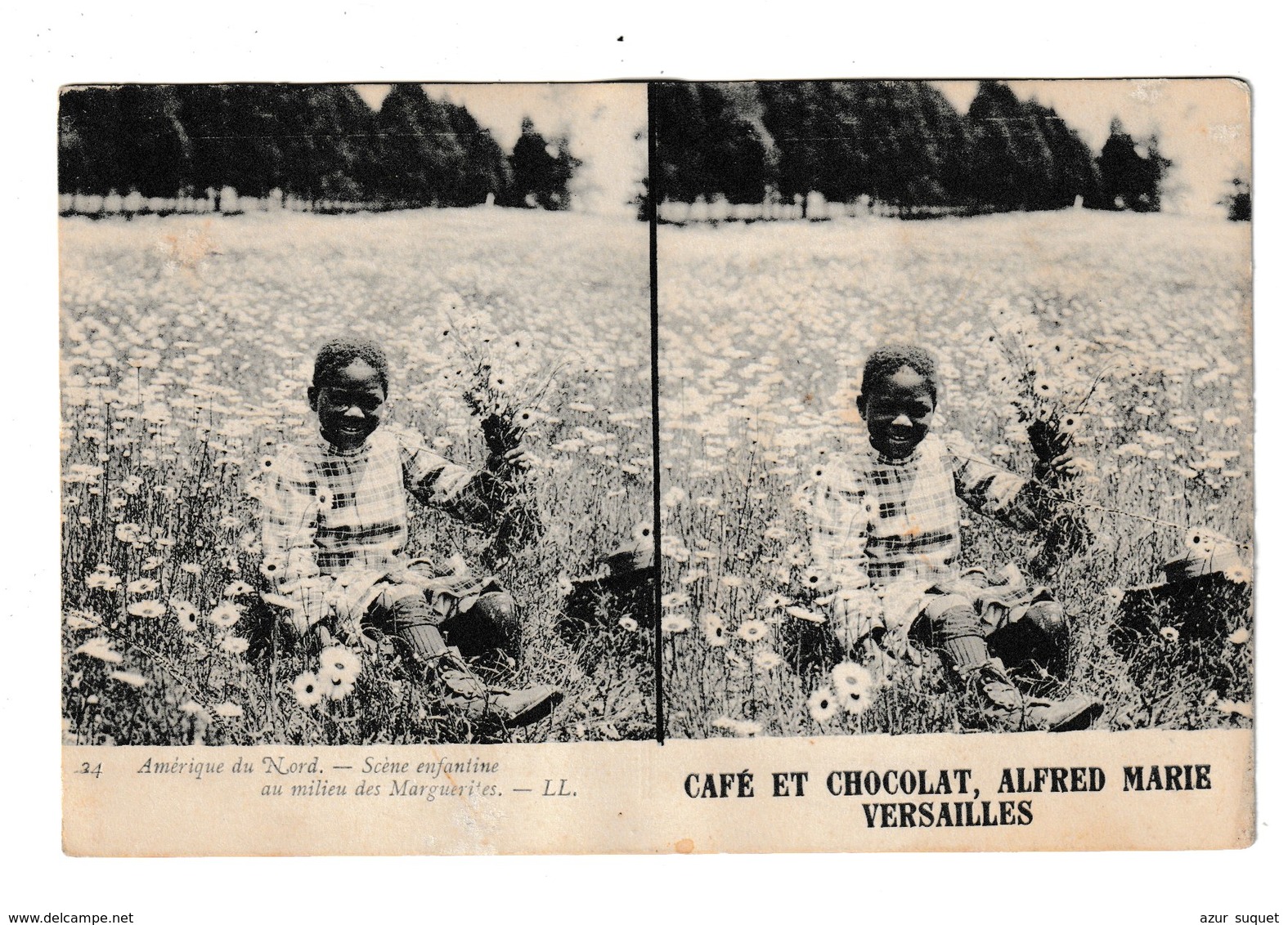 CPA STEREO /PUBLICITE CAFE ET CHOCOLAT ALFRED MARIE/ VERSAILLES /AMERIQUE DU NORD - Publicité