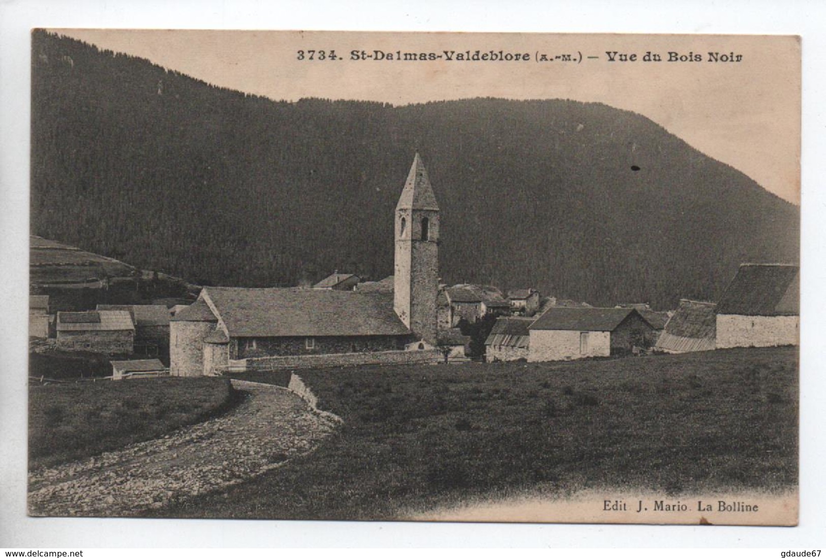 SAINT DALMAS VALDEBLORE (06) - VUE DU BOIS NOIR - Autres & Non Classés