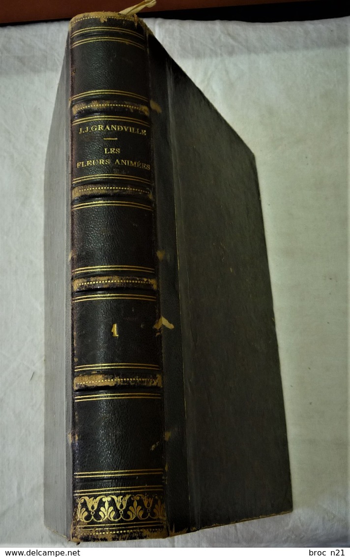 J. J. GRANDVILLE, Les Fleurs Animées, Garnier Frères - Other & Unclassified