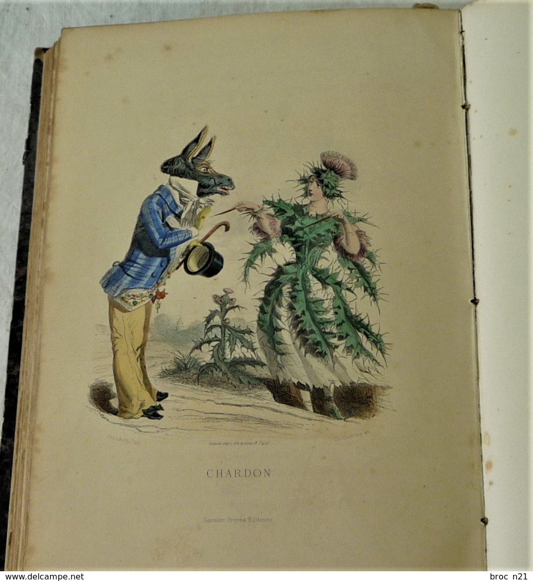 J. J. GRANDVILLE, Les Fleurs Animées, Garnier Frères