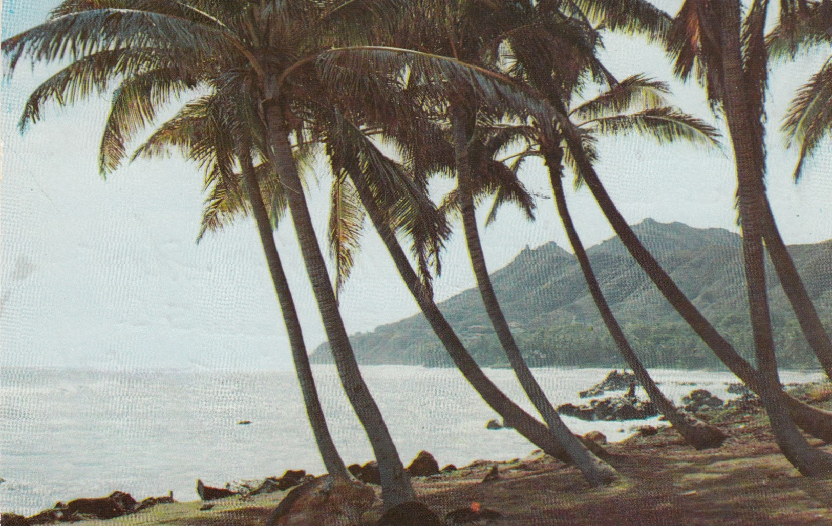 HONOLULU , Hawaii , 1956 ; Diamond Head From Black Point - Honolulu