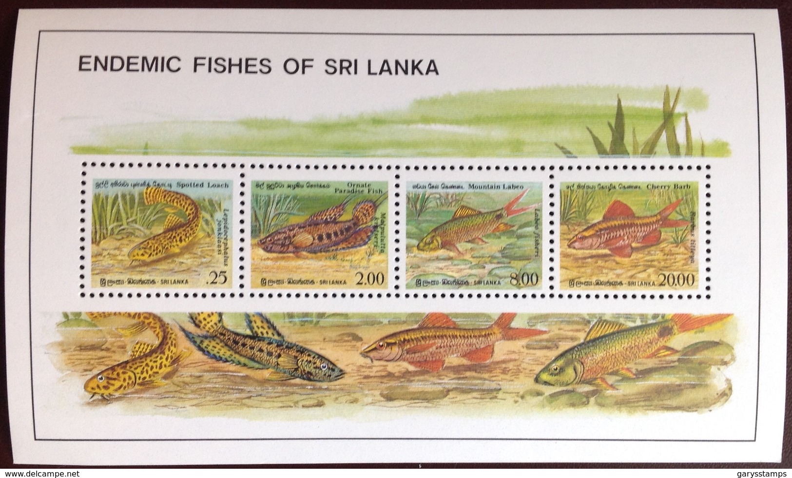 Sri Lanka 1990 Fish Minisheet MNH - Fische