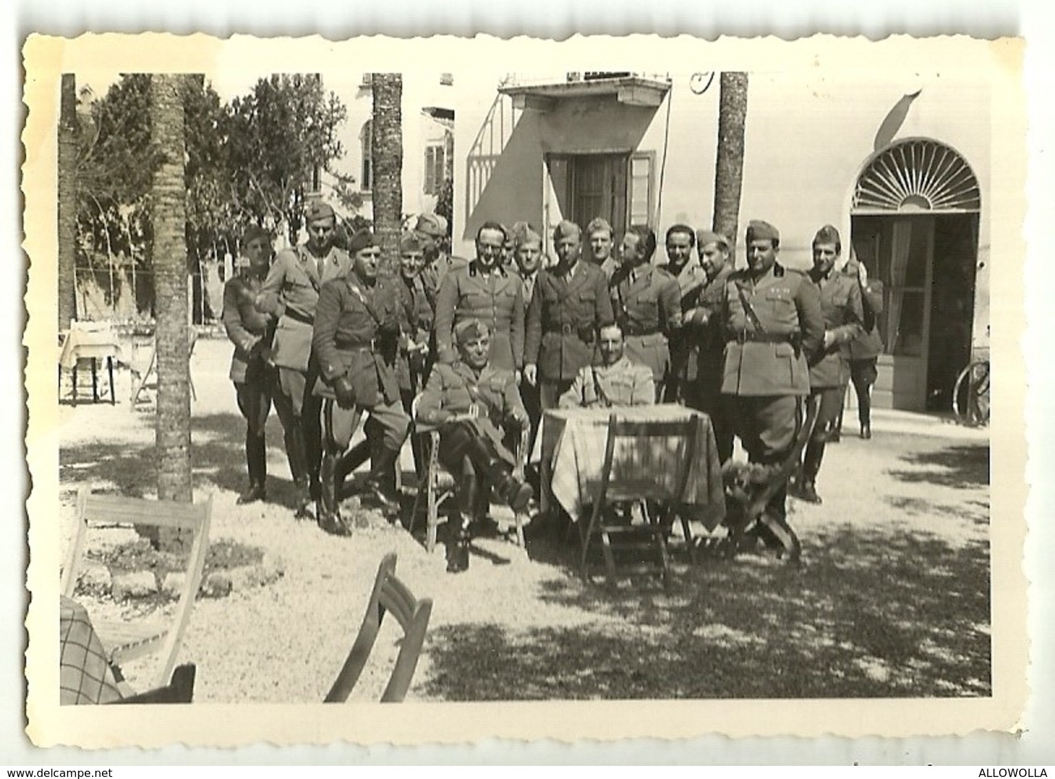 3877 " UFFICIALI ARTIGLIERIA R.E. II WW " FOTO ORIGINALE - Guerra, Militari