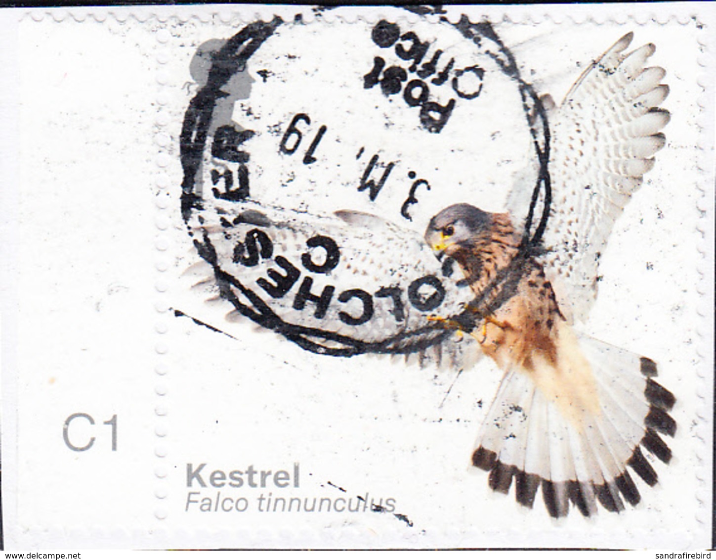 2019  Birds Of Prey (2019) -  Eurasian Kestrel (Falco Tinnunculus)  1st  On Paper - Used Stamps