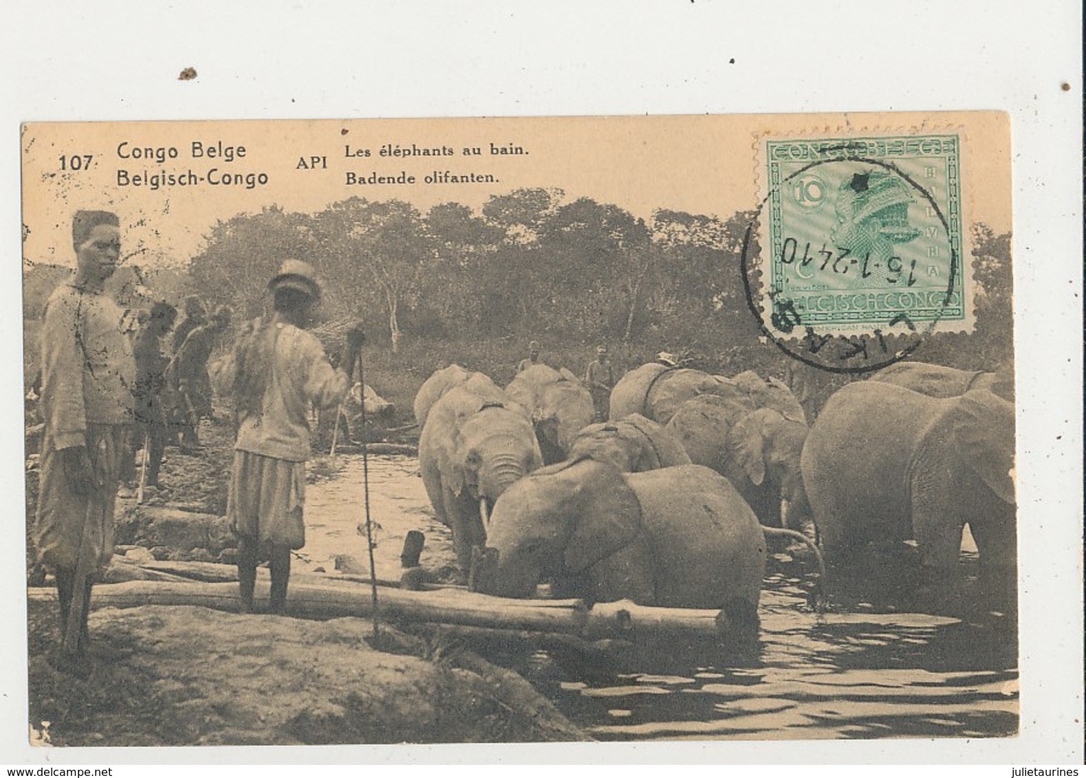 CONGO BELGE LES ELEPHANTS AU BAIN CPA BON ETAT - Belgian Congo