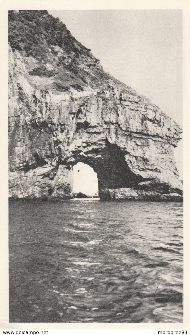 Saint Pierre Et Miquelon Cpa Le Cap Perce Imprime Pub Plasmarine 1951 Yvert N°330-331 Et 332 Pour France TDA67 - Lettres & Documents