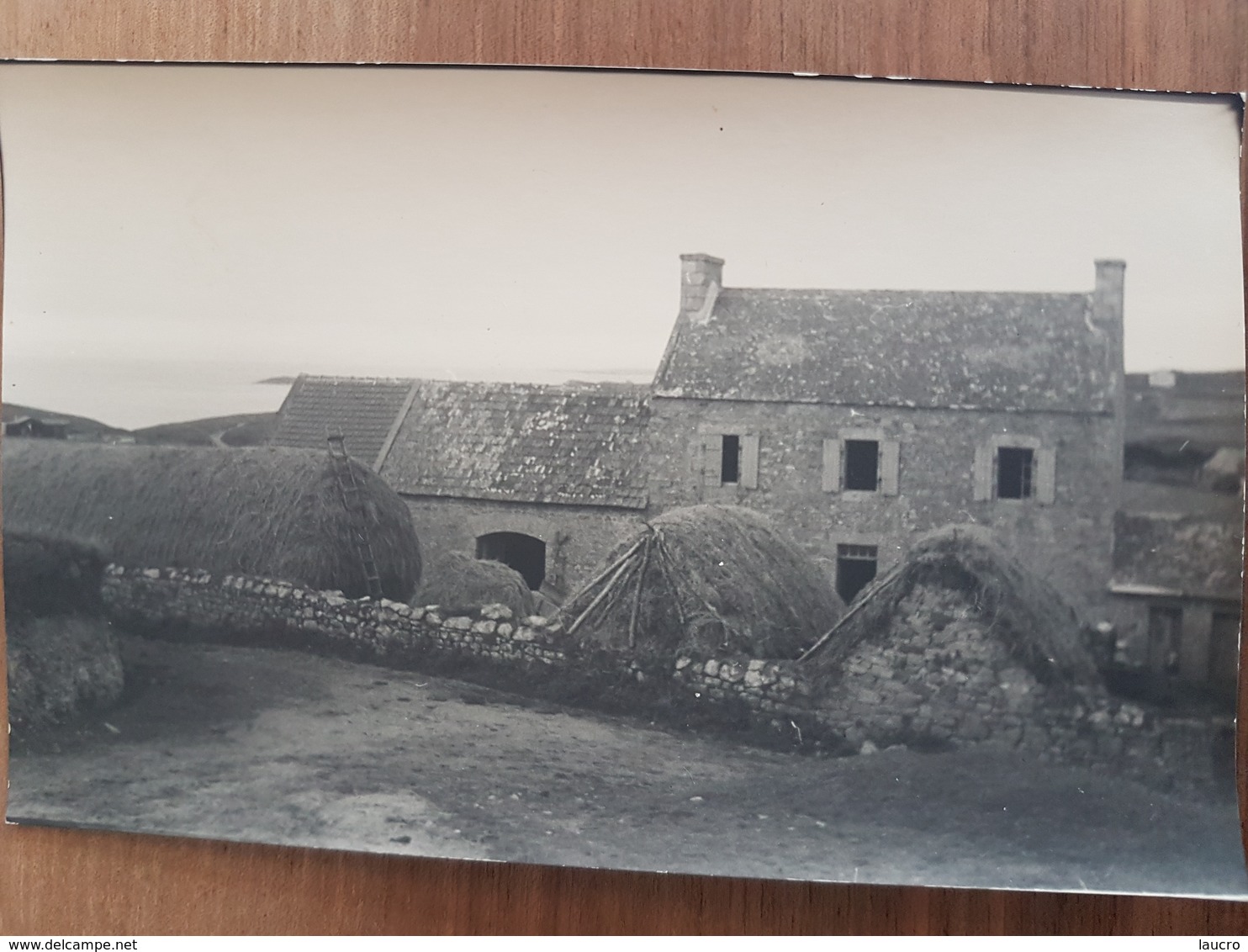 Brignogan.carte Photo Vers 1950 - Brignogan-Plage