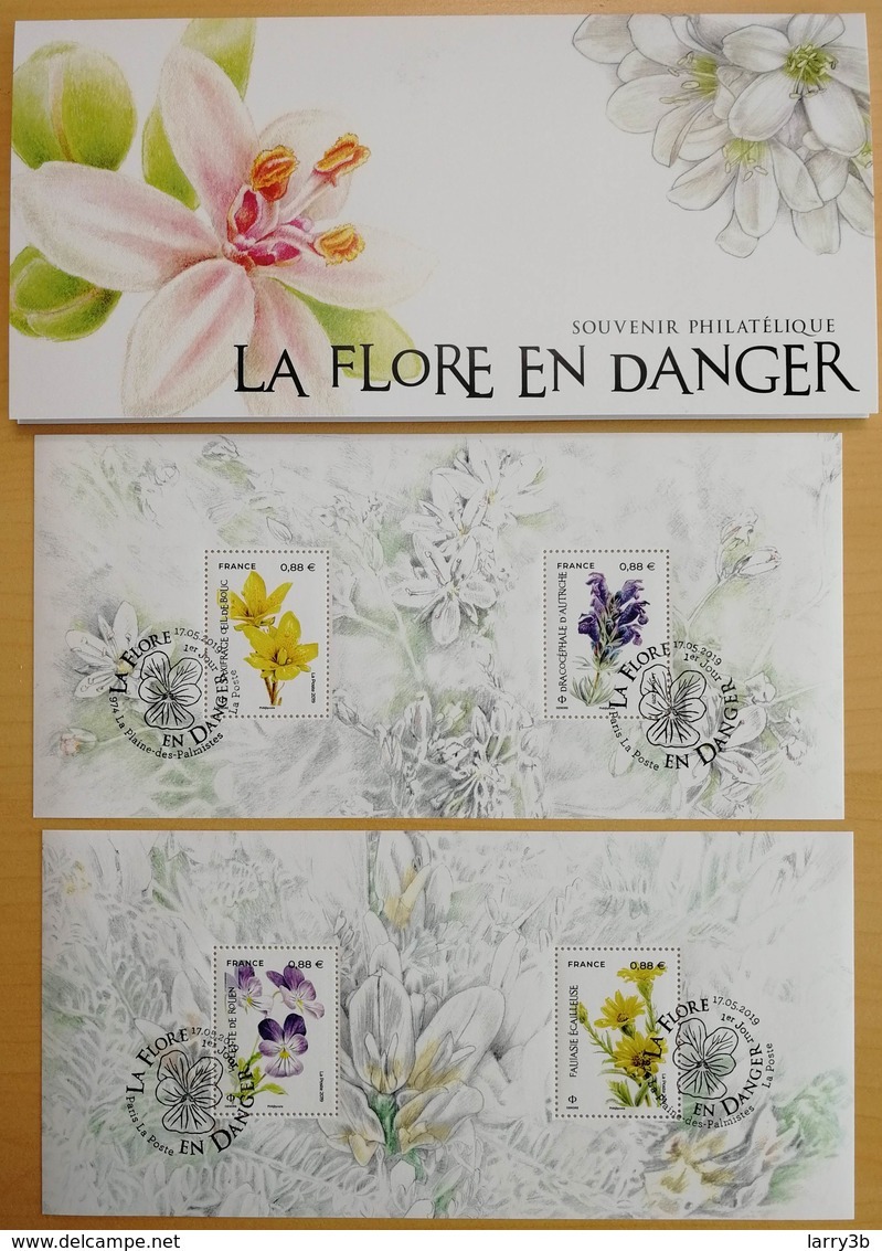 BS 2019 - BLOC SOUVENIR - "LA FLORE EN DANGER" - Oblitéré 1er JOUR - 17/05/2019 - Paris Et La Plaine Des Palmistes (974) - Blocs Souvenir