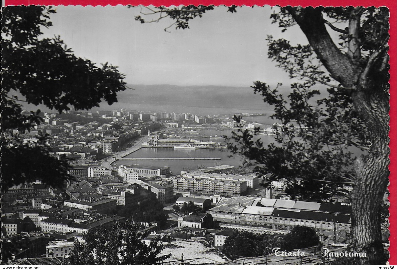 CARTOLINA VG ITALIA - TRIESTE - Panorama - 10 X 15 - ANN. 195? - Trieste