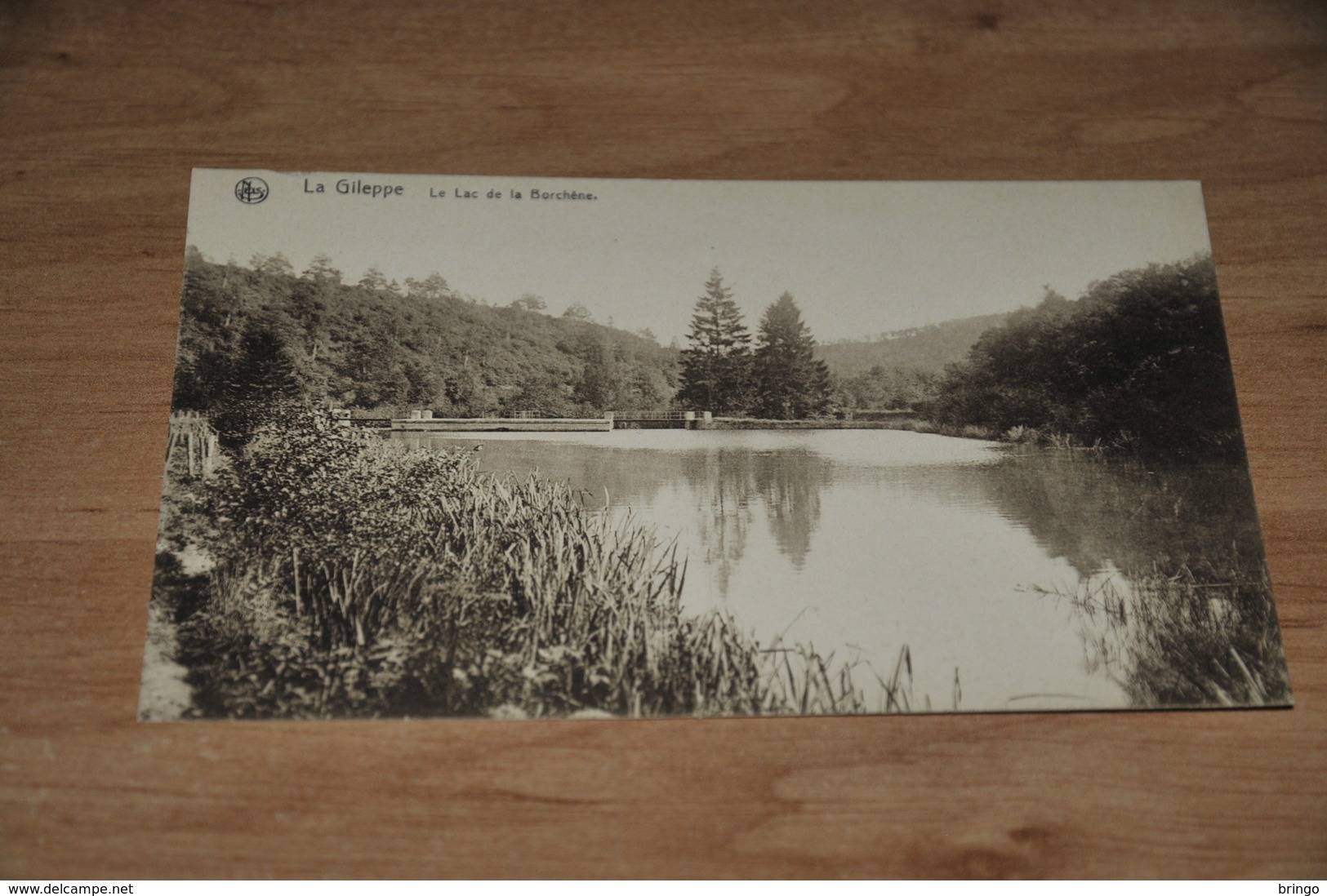 9801-   LA GILEPPE, LE LAC DE LA BORCHENE - Gileppe (Barrage)