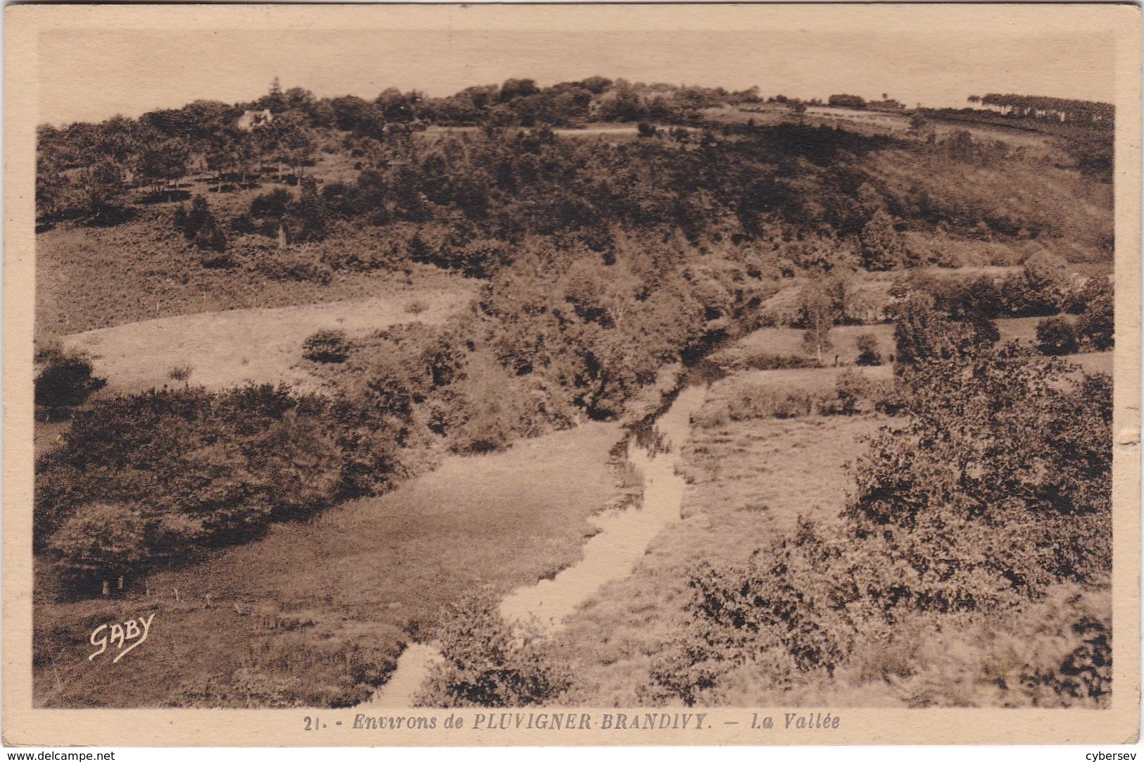 Environs PLUVIGNER-BRANDIVY - La Vallée - Pluvigner