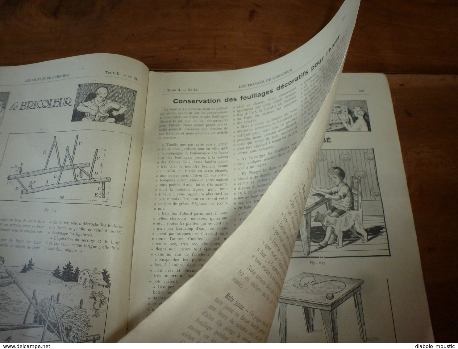 1924 LES TRAVAUX DE L'AMATEUR:Faire(Supprim coup de soleil;Cadran solaire;Conserver feuilles pour déco;Clichés utile;etc