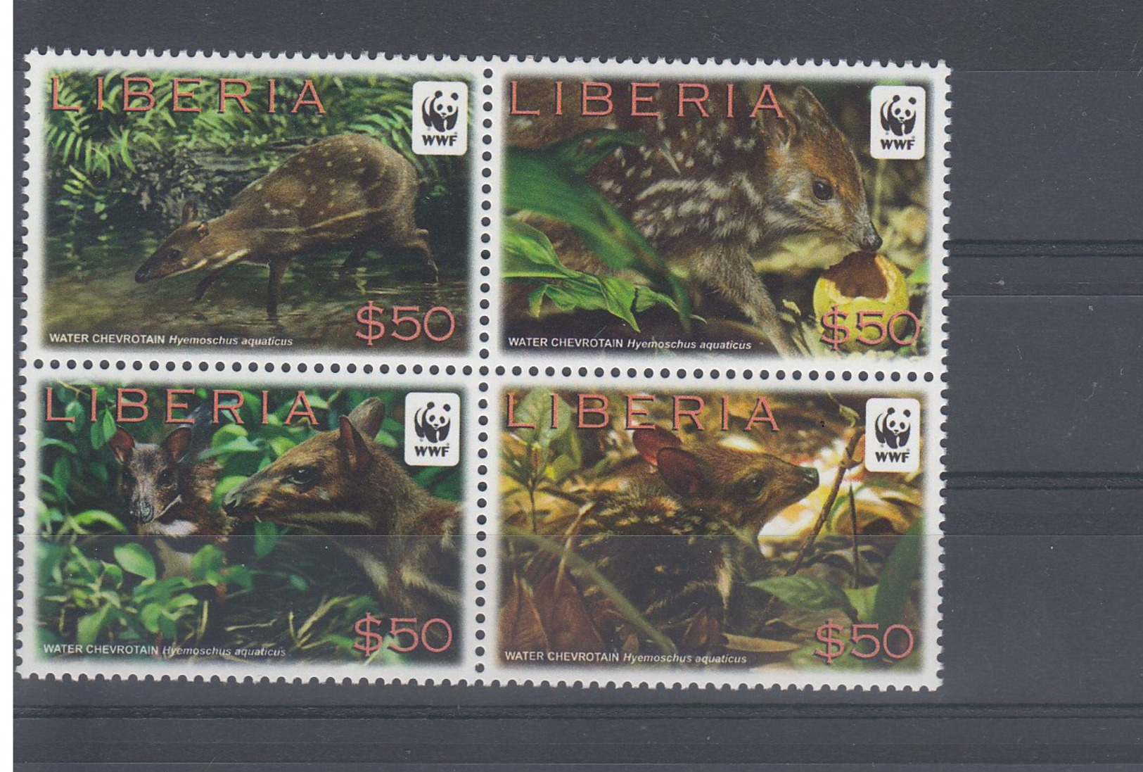 Liberia Michel Cat.No.   Mnh/** 5921/5924 Wwf Bloc Of Four - Liberia