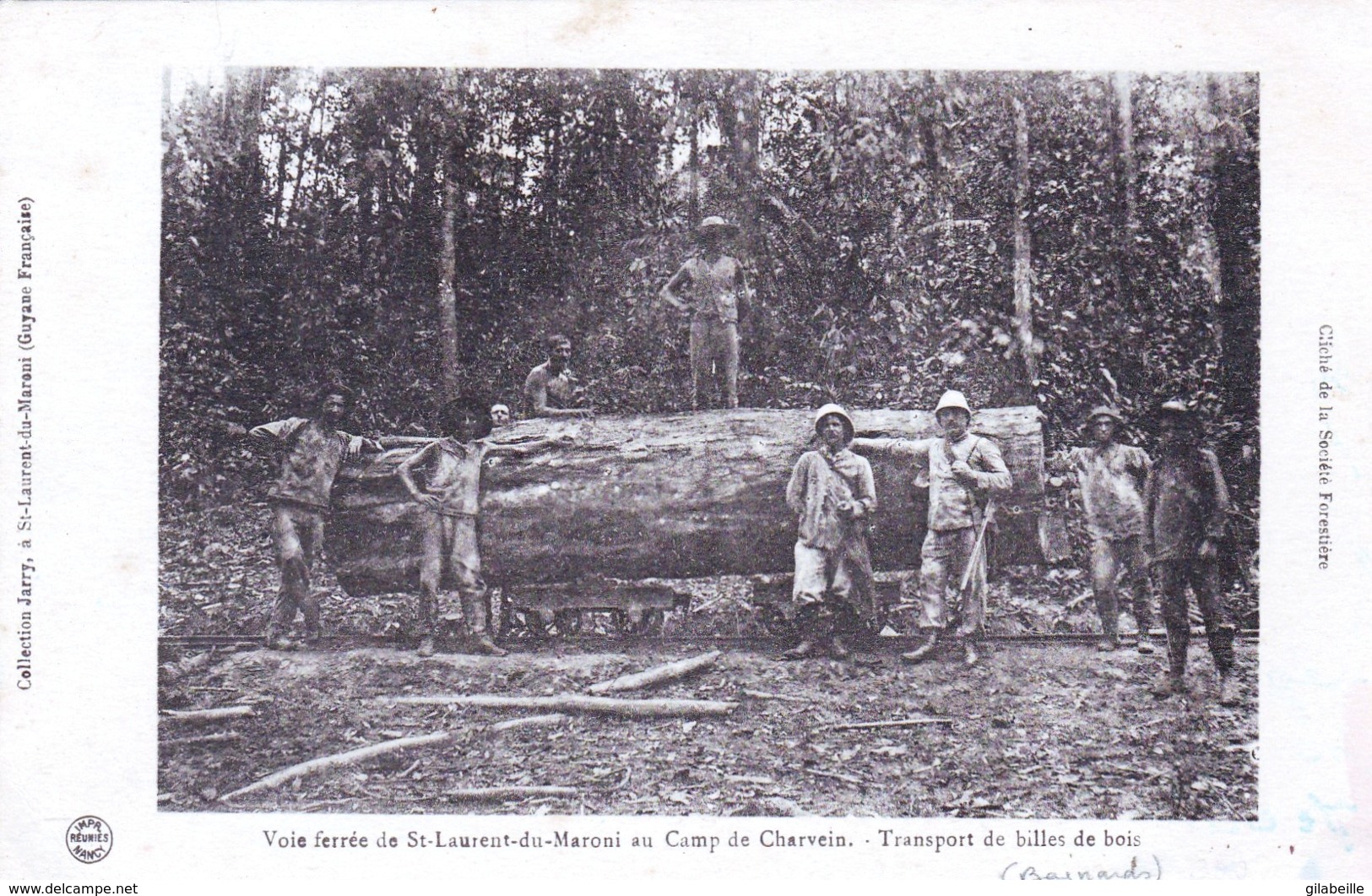 Guyane Francaise - Voie Ferrée De SAINT LAURENT DU MARONI Au Camp De Charvein - Transport De Billes De Bois ( Bagnards ) - Saint Laurent Du Maroni