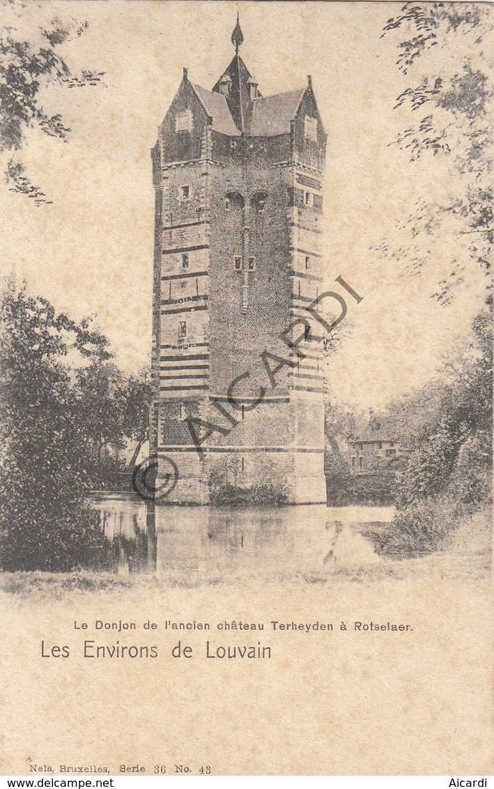 Postkaart/Carte Postale ROTSELAAR Environs De Louvain Le Donjon De L'ancien Château Terheyden  (C484) - Rotselaar