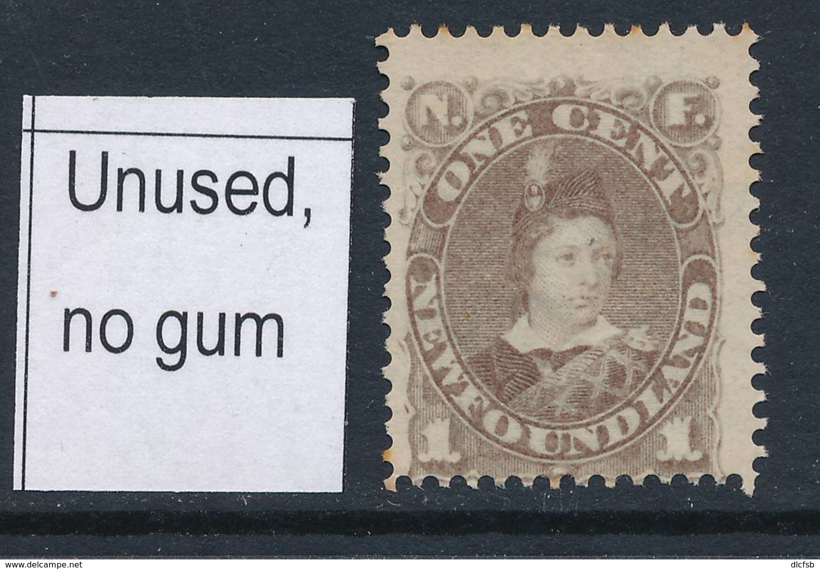 NEWFOUNDLAND, 1880 1c Dull Grey-brown Unused No Gum, SG50 - 1865-1902