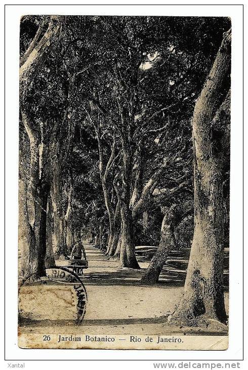 Rio De Janeiro (Brésil) - Jardin Botanique - Jardinier Dans Les Allées D'arbres - Dos écrit En 1912 - Timbre Absent - Rio De Janeiro