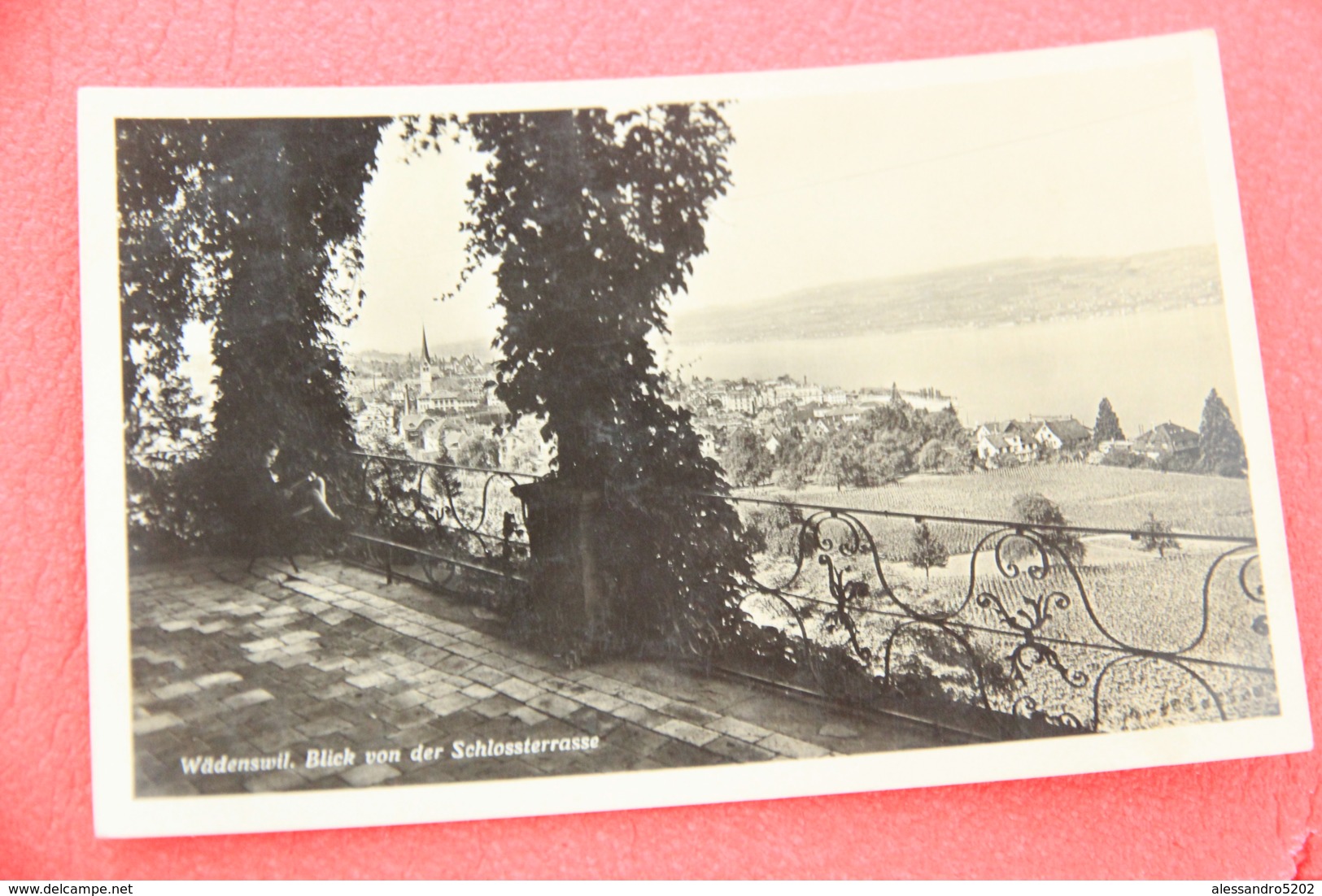 Zurich Wadenswil Blick Von Der Schlossterrasse 1934 - Wädenswil
