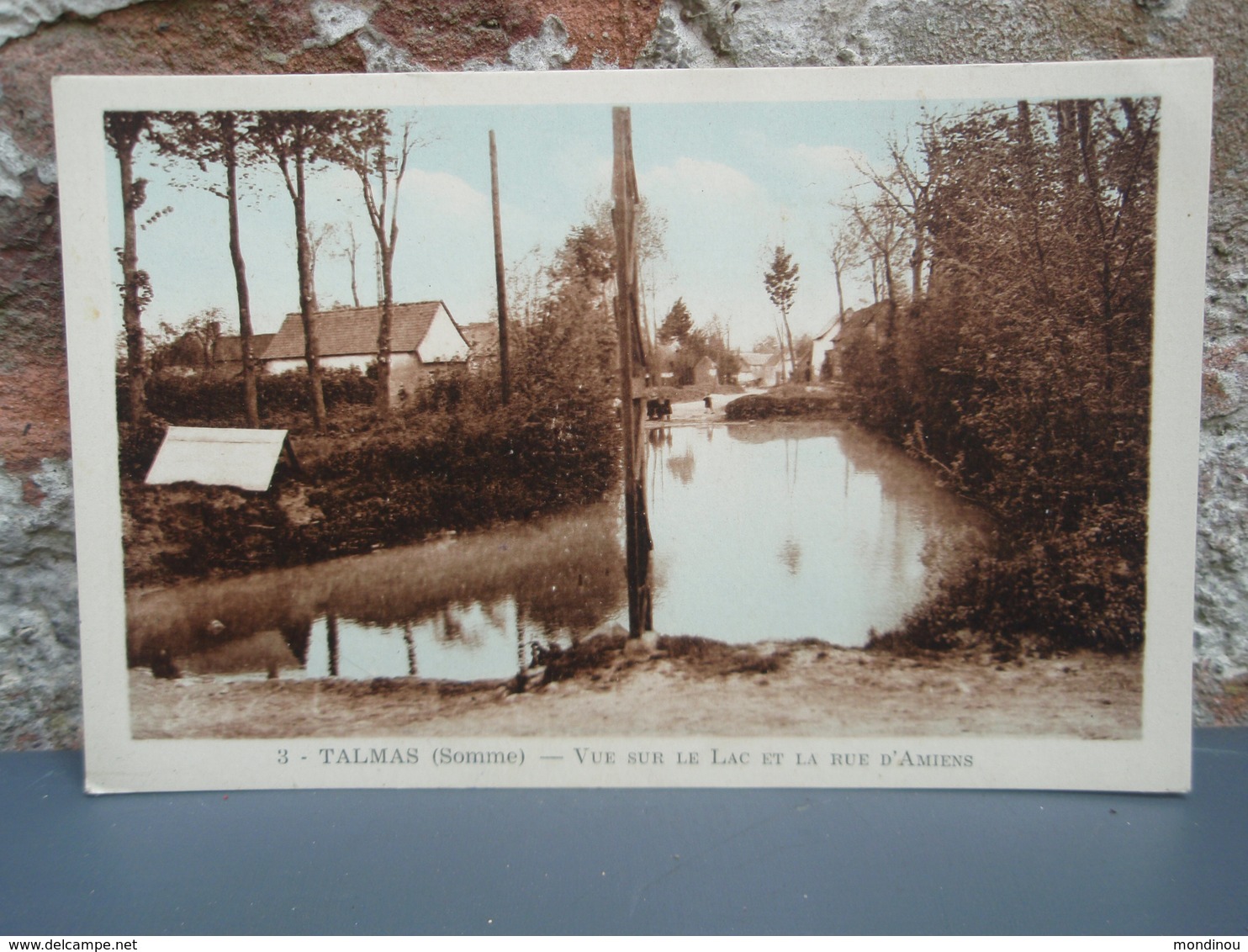 Cpa  Couleur TALMAS Vue Sur Le Lac Et La Rue D'Amiens - Autres & Non Classés