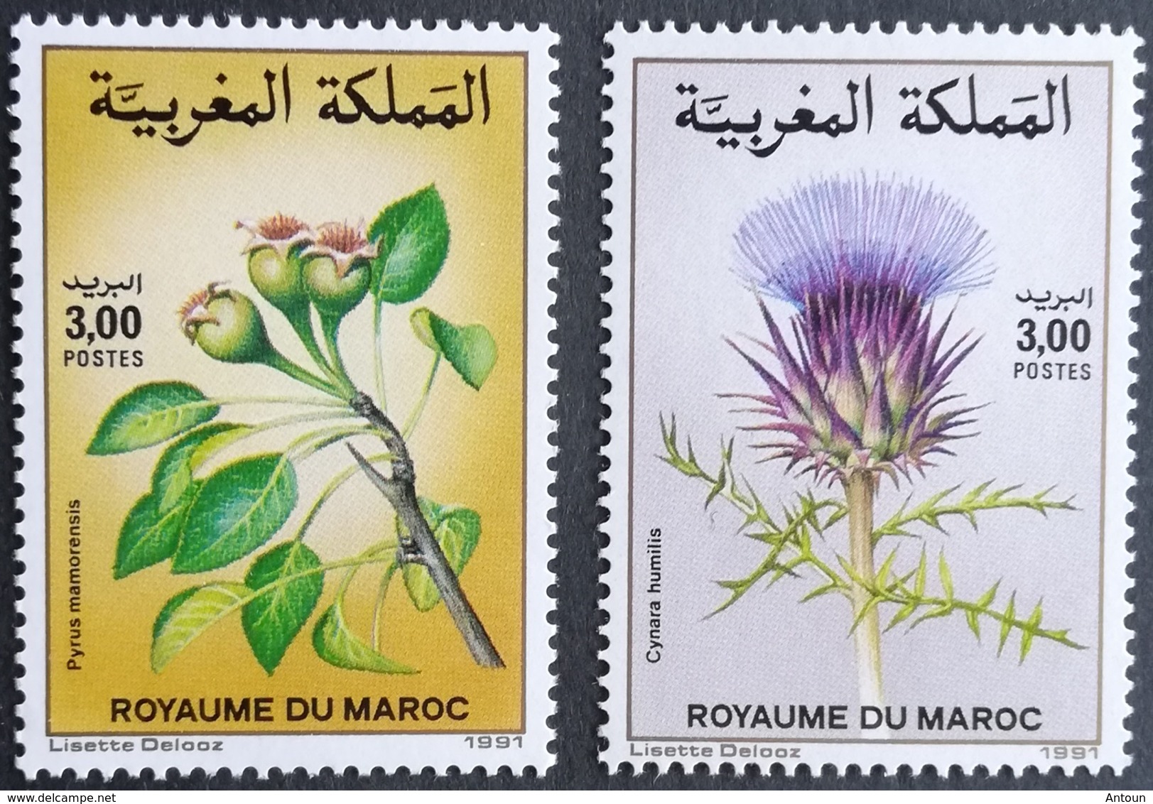 Morocco 1991 Flowering Plants - Morocco (1956-...)