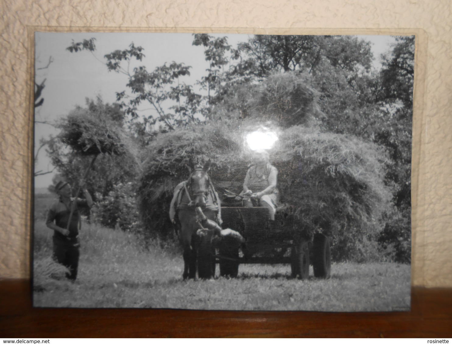 Repro  Cartonnée Et Plastifiée   PAYSANS/ LE RETOUR DES FOINS AVEC LE CHEVAL - Métiers