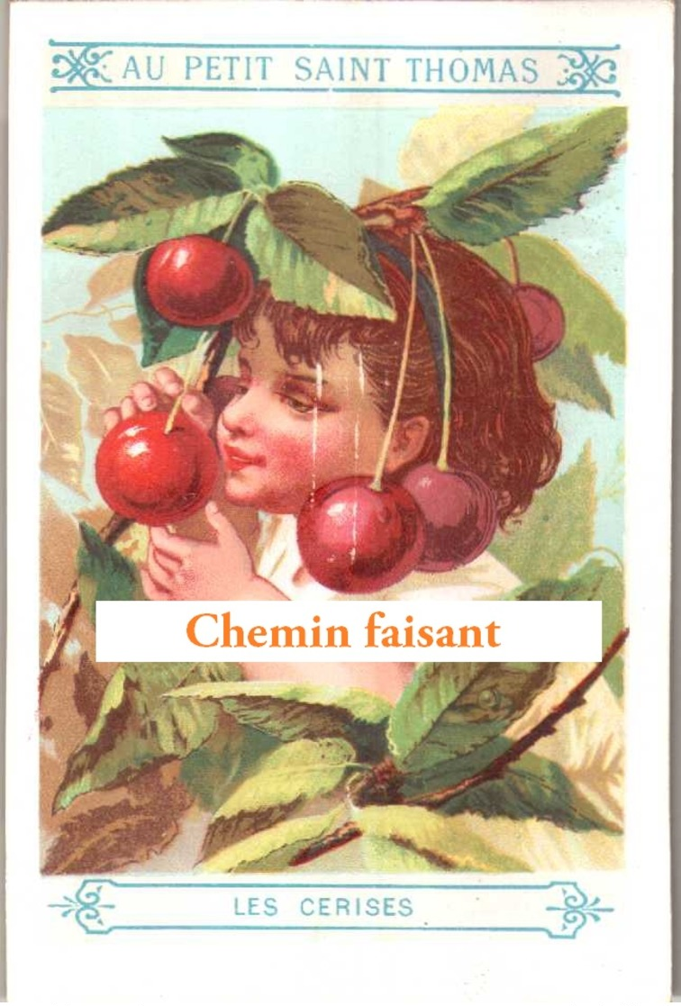 Chromo AU PETIT SAINT THOMAS - Thème : Enfant Et Fruit : CERISES - Scans Recto-verso - Autres & Non Classés