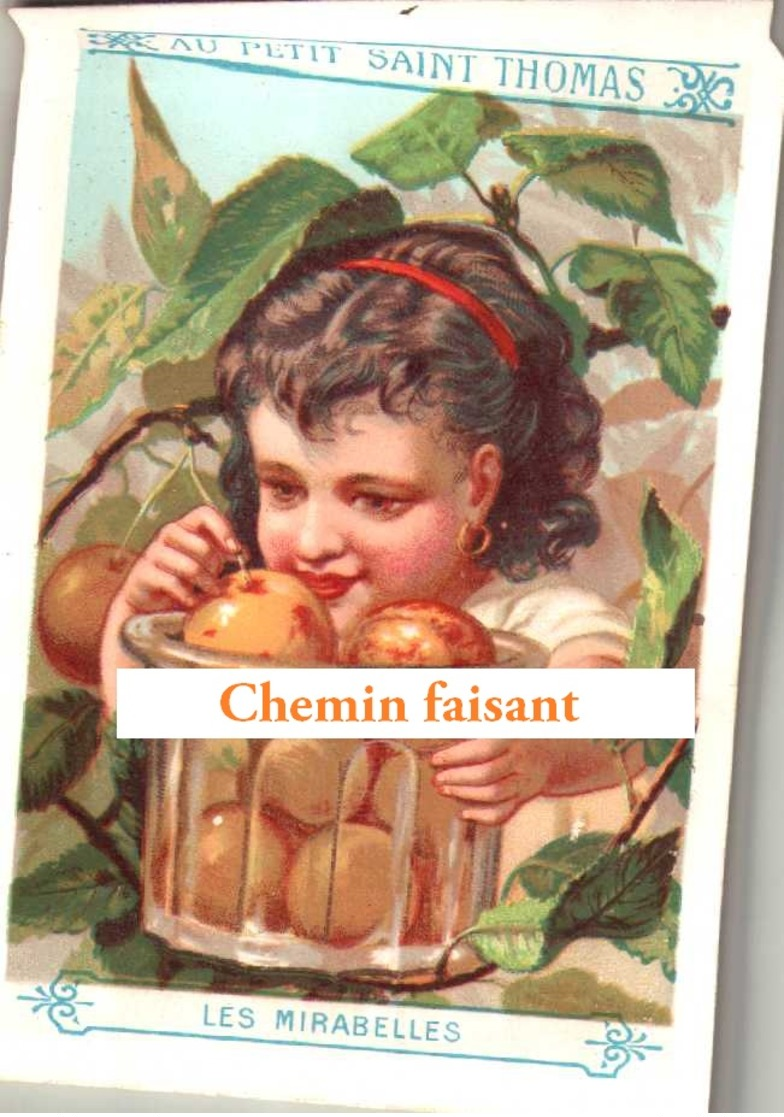 Chromo AU PETIT SAINT THOMAS - Thème : Enfant Et Fruit : MIRABELLES - Scans Recto-verso - Autres & Non Classés