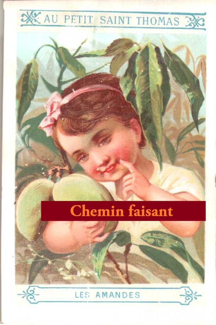 Chromo AU PETIT SAINT THOMAS - Thème : Enfant Et Fruit : AMANDES - Scans Recto-verso - Autres & Non Classés