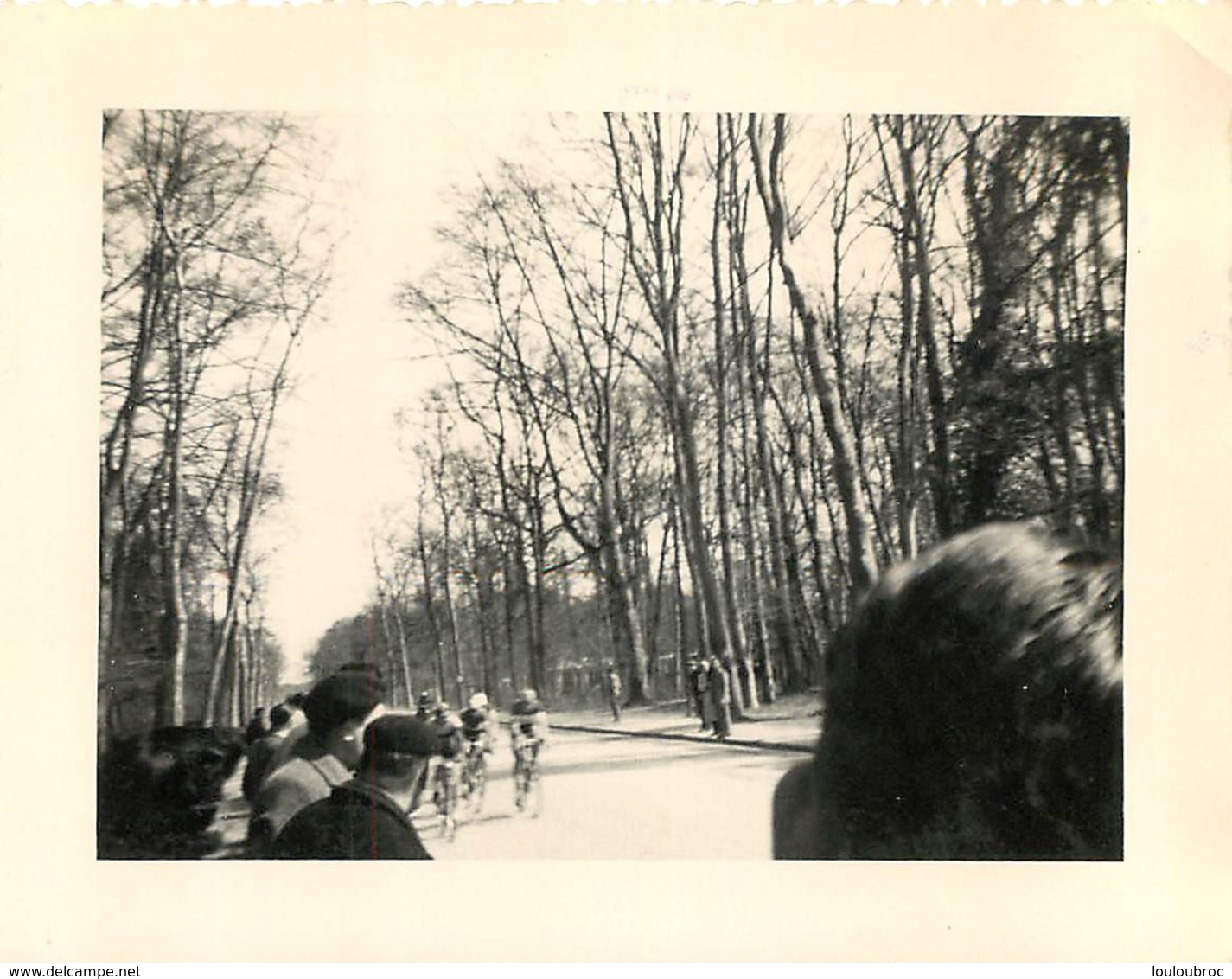 FONTAINEBLEAU COURSE CYCLISTE CRITERIUM DE LA ROUTE   PHOTO ORIGINALE FORMAT 10 X 8 CM - Lieux