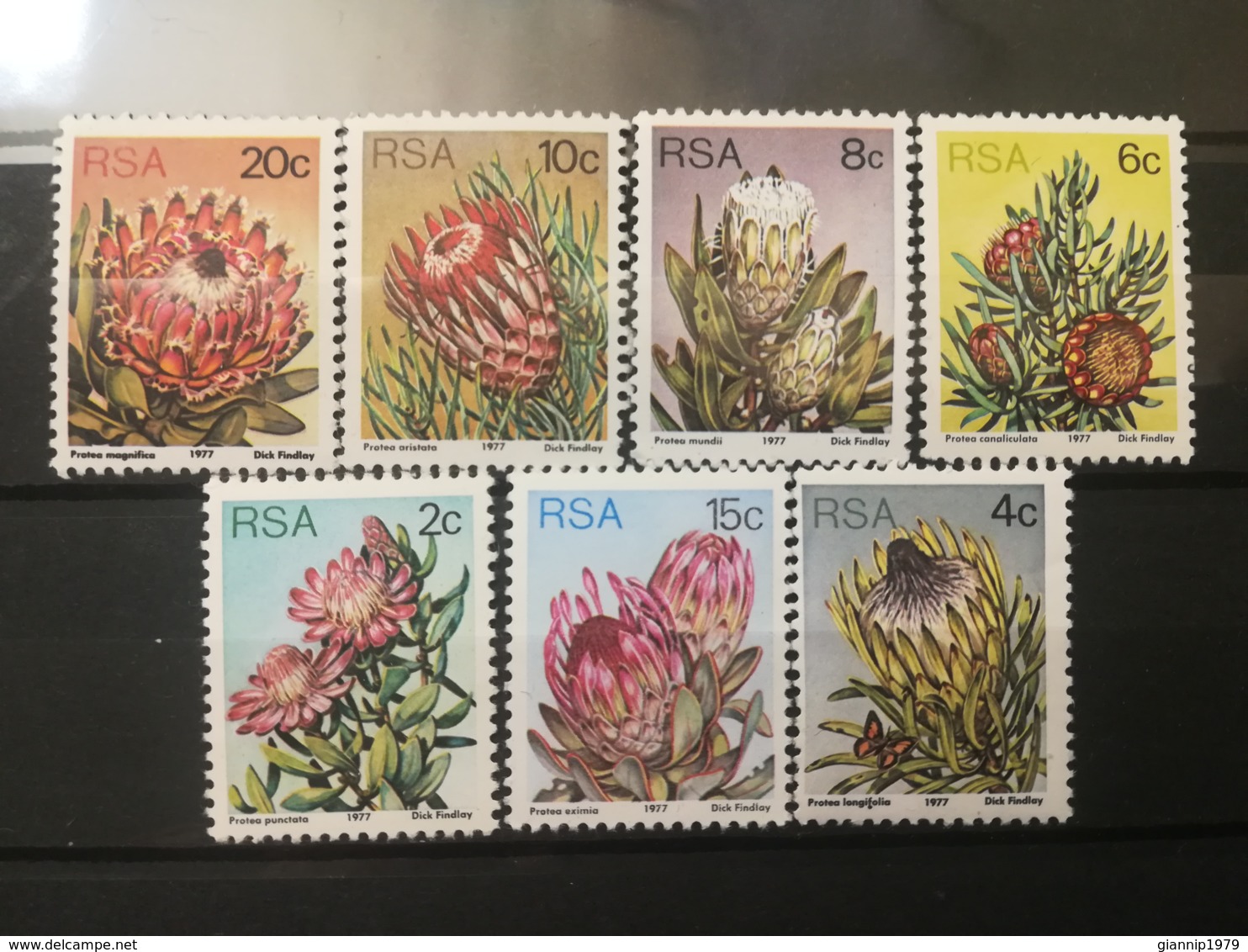 FRANCOBOLLI STAMPS SUD AFRICA SOUTH 1977 MNH** NUOVI SERIE FLORA FIORI RSA - Unused Stamps