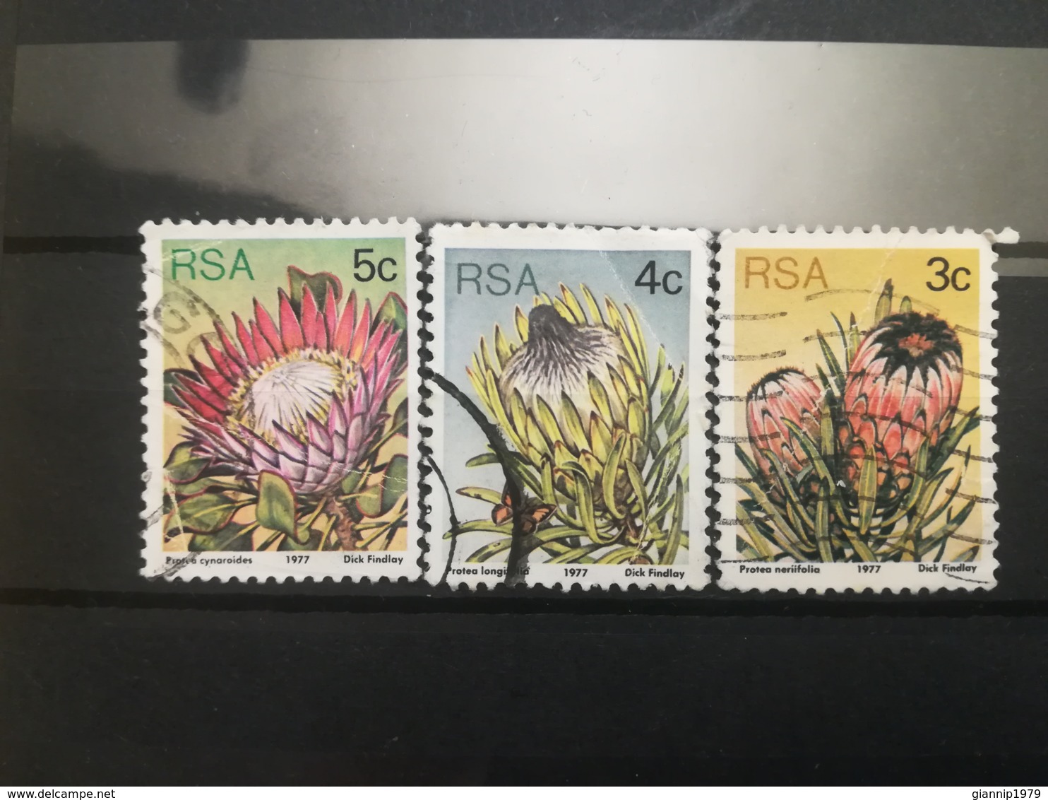 FRANCOBOLLI STAMPS SUD AFRICA SOUTH 1977 USED SERIE FLORA FIORI RSA - Usati