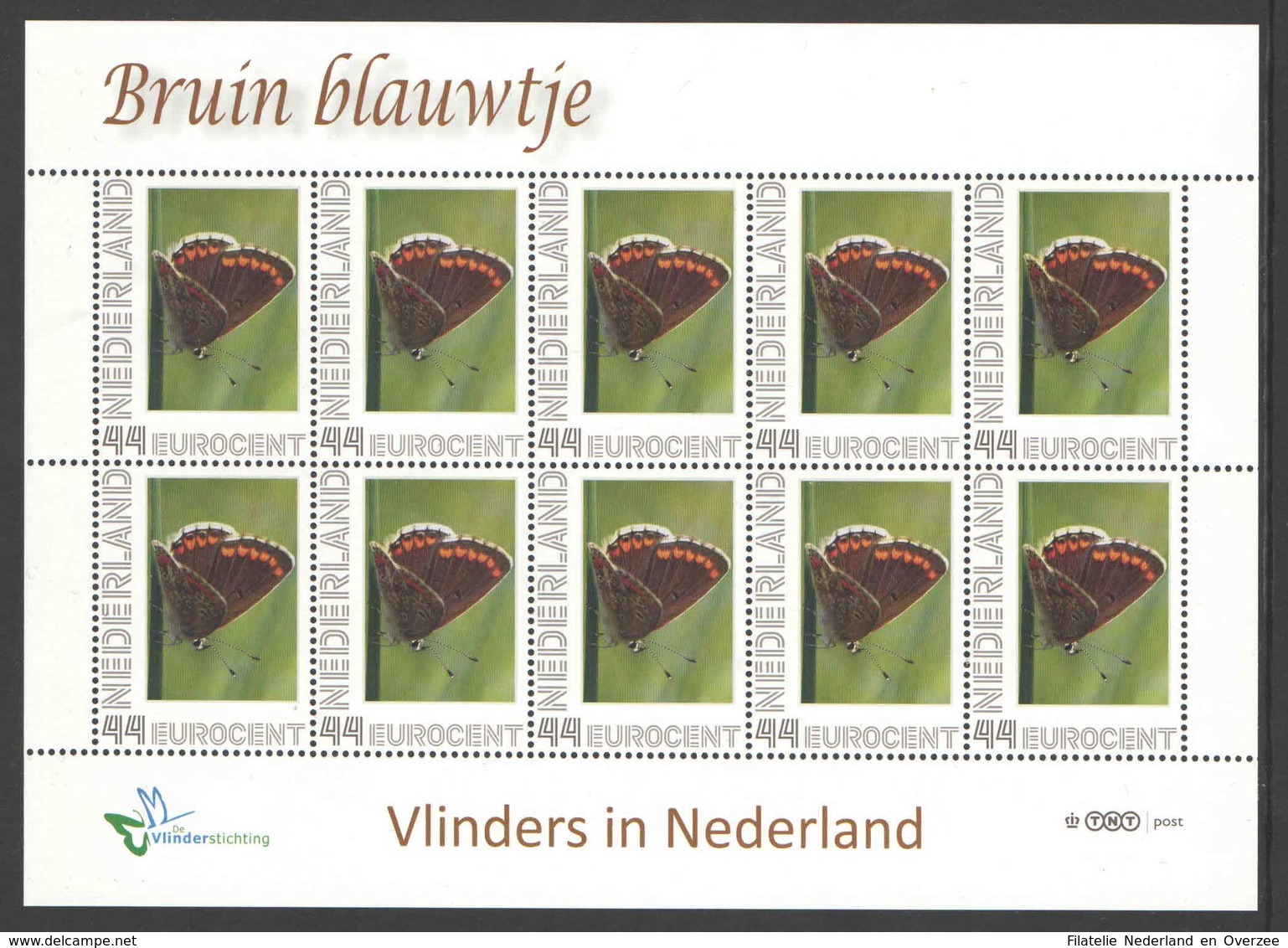 Vlinders In Nederland: Bruin Blauwtje. Postfris / MNH, Papillon, Butterfy, Schmetterling, Mariposa - Butterflies