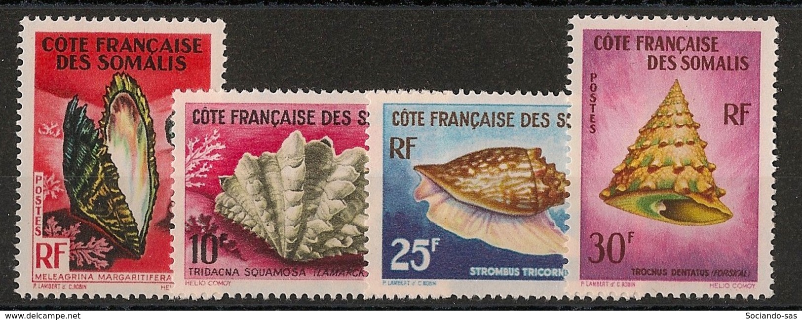 Côte Des Somalis - 1962 - N°Yv. 311 à 314 - Coquillages - Neuf Luxe ** / MNH / Postfrisch - Conchiglie