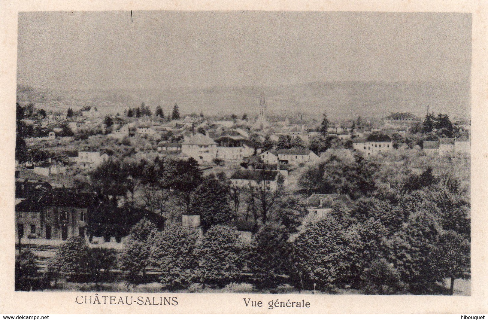 CPA Château-Salins Vue Générale - Chateau Salins