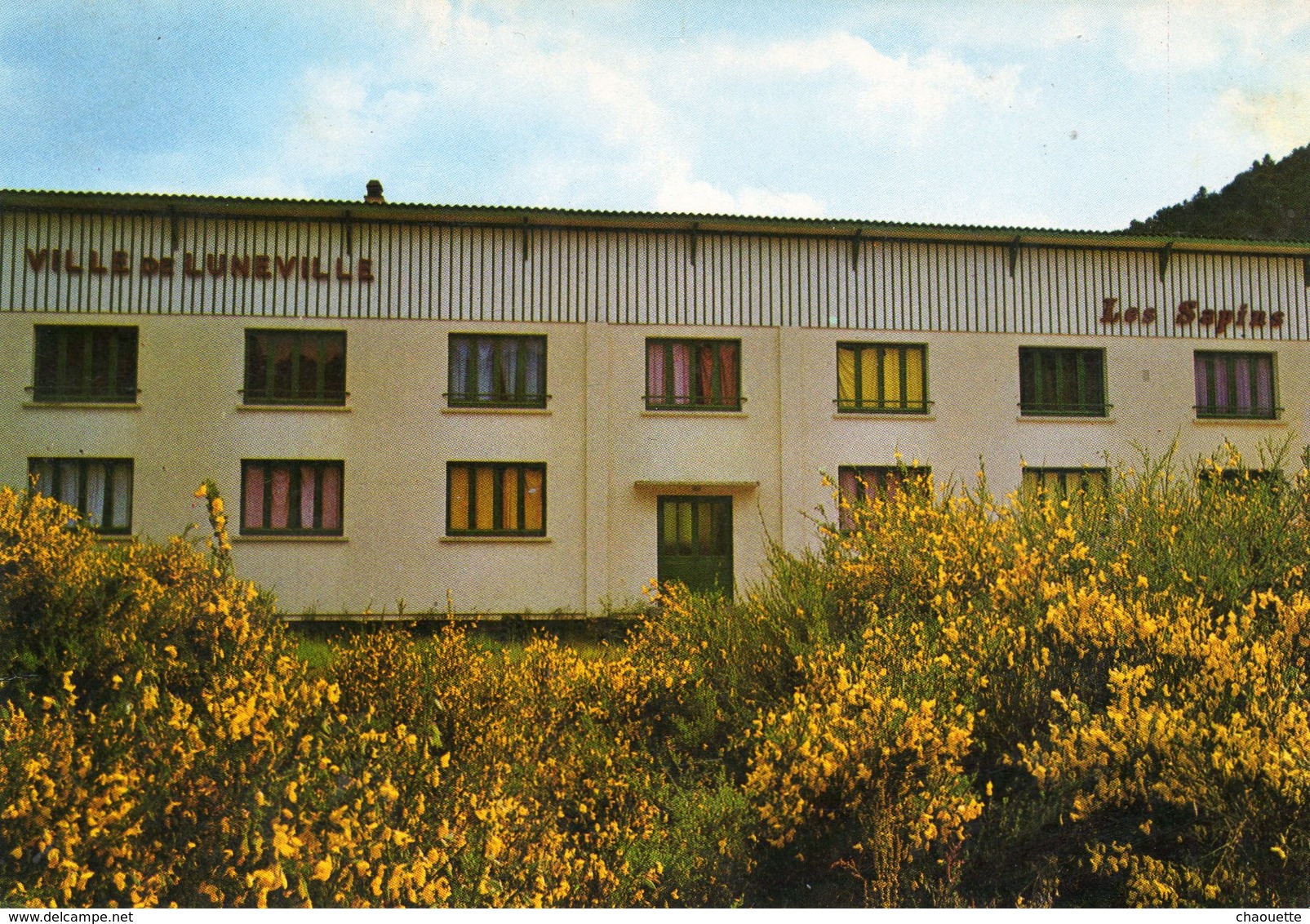 VEXAINCOURT.....LES SAPINS    Colonie De La Ville De Luneville - Autres & Non Classés