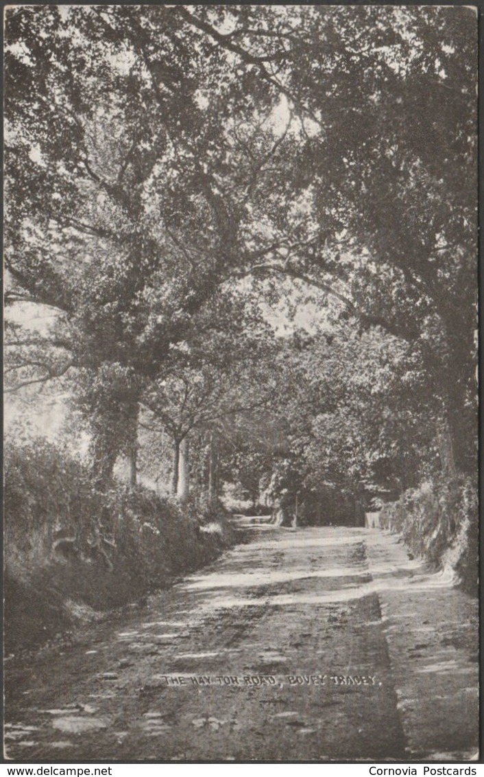 The Hay Tor Road, Bovey Tracey, Devon, C.1905-10 - Chapman Postcard - Dartmoor