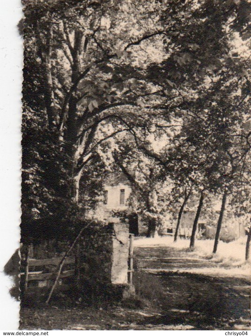 95Eb  Photo 24 Chateau De Saint Jean De Colle Cole Prés Perigueux En 1955 - Périgueux