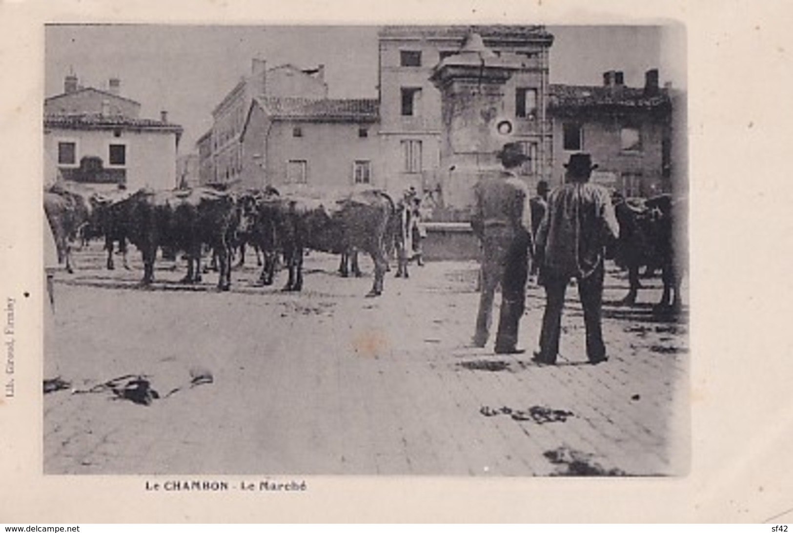 LE CHAMBON          LE MARCHE.   LES VACHES - Le Chambon Feugerolles