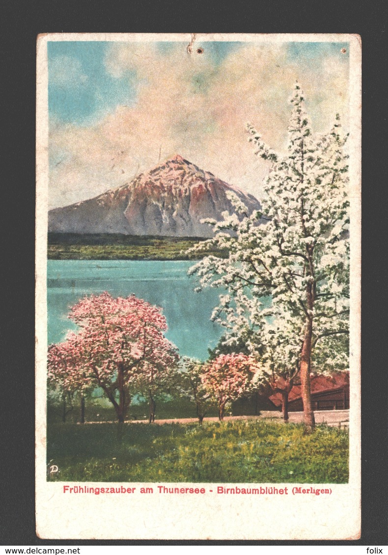 Merligen - Frühlingszauber Am Thunersee - Birnbaumblühet - 1920 - Autres & Non Classés