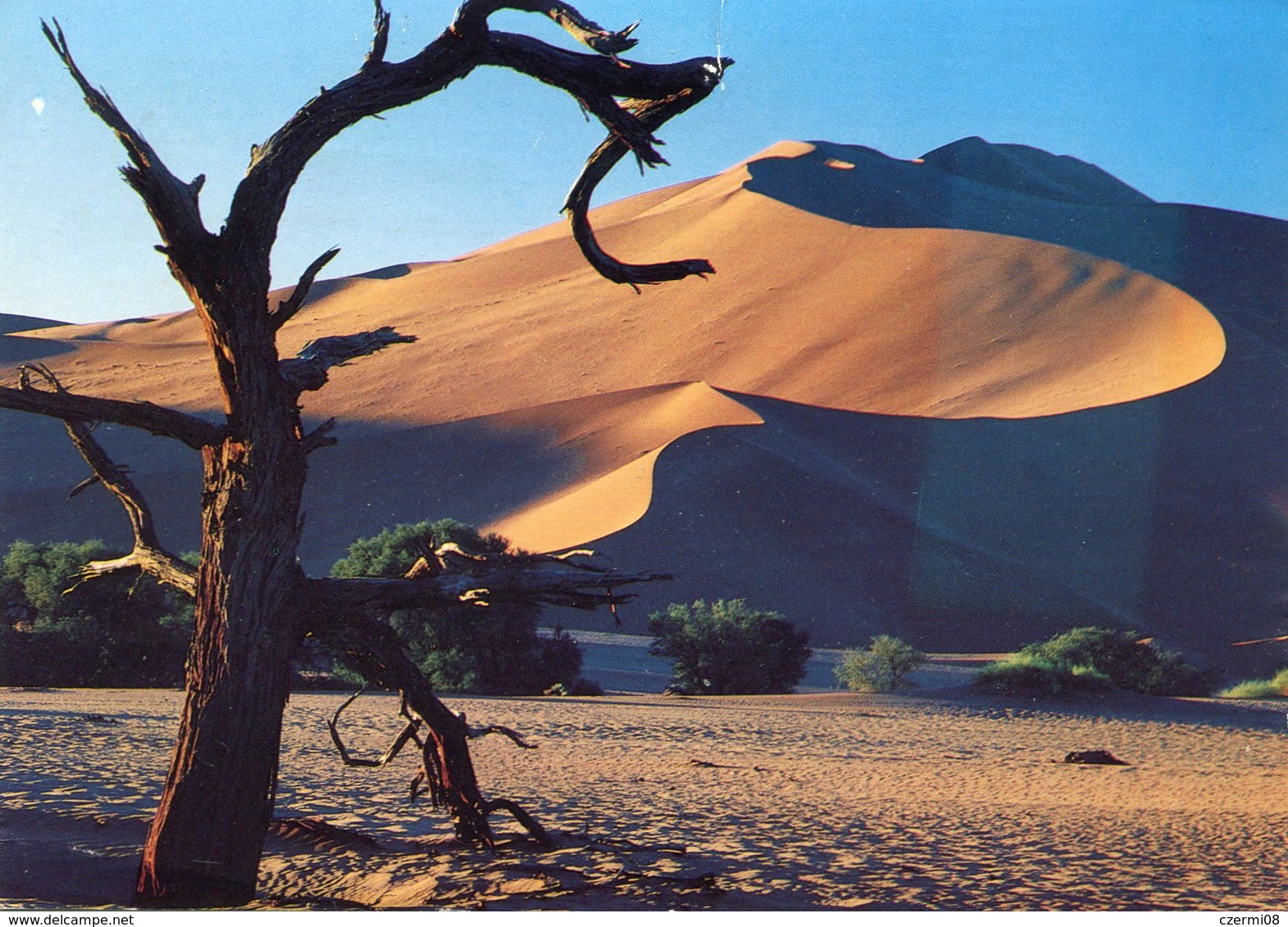 Namibia - Postcard - Carte Postale - Namibia (1990- ...)