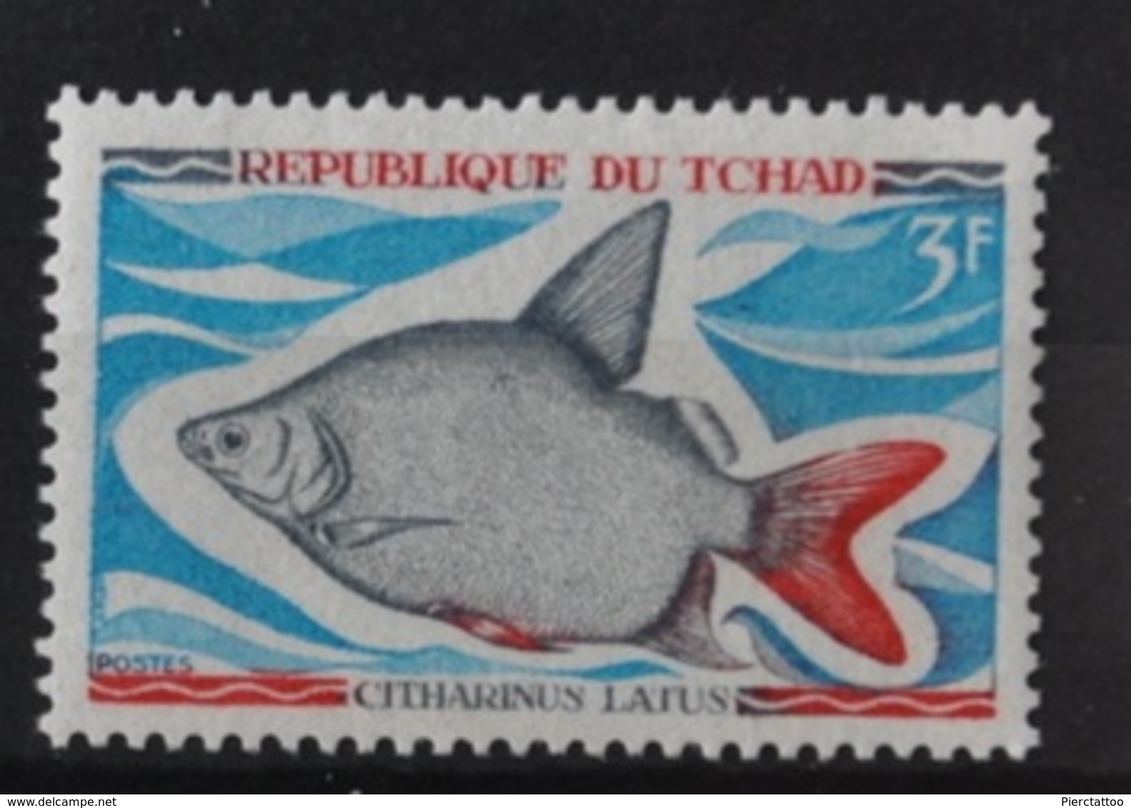 Citharinus Latus (Poisson/Animaux) - Tchad - 1969 - YT 217 - Neuf - Chad (1960-...)