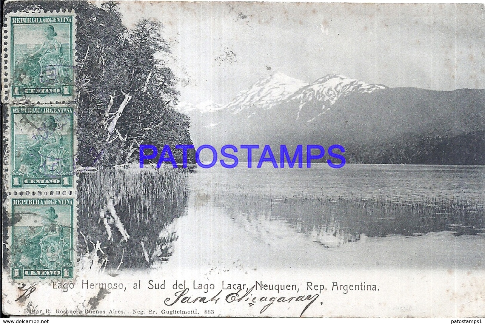 112951 ARGENTINA NEUQUEN LAGO HERMOSO AL SUD DEL LAGO LACAR CIRCULATED TO FRANCE POSTAL POSTCARD - Argentina