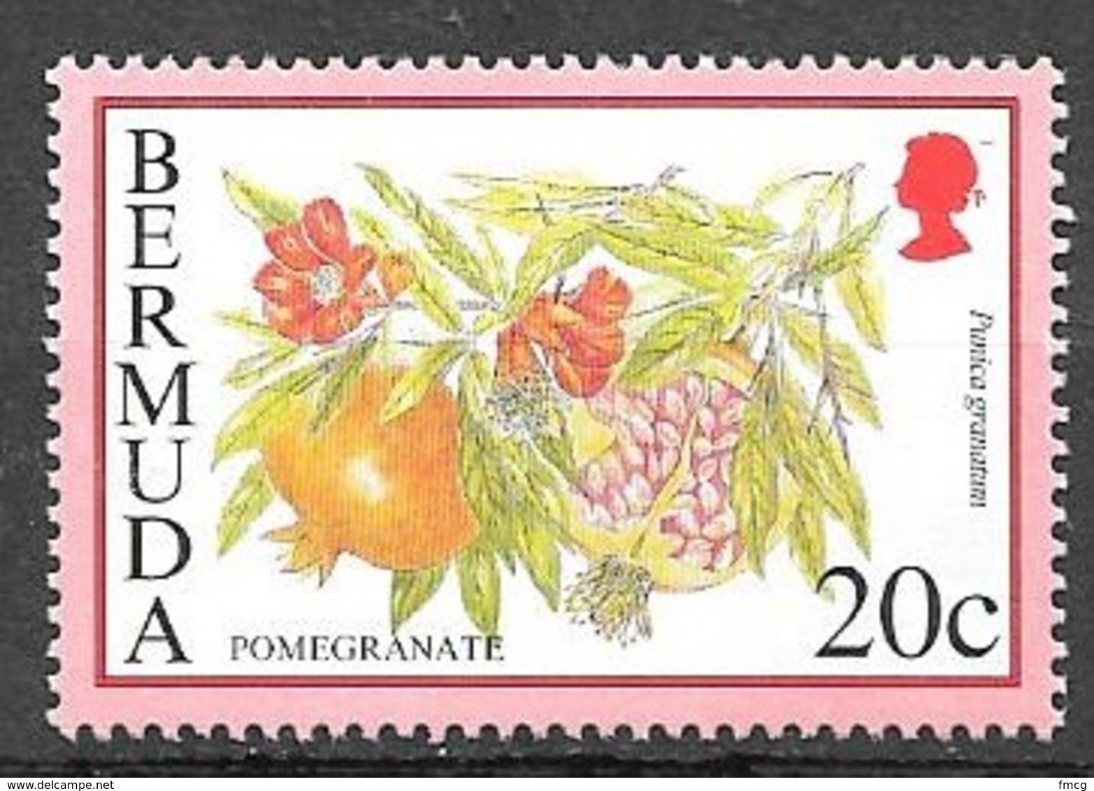 1994 20 Cents Pomegranate, Mint Never Hinged - Bermuda